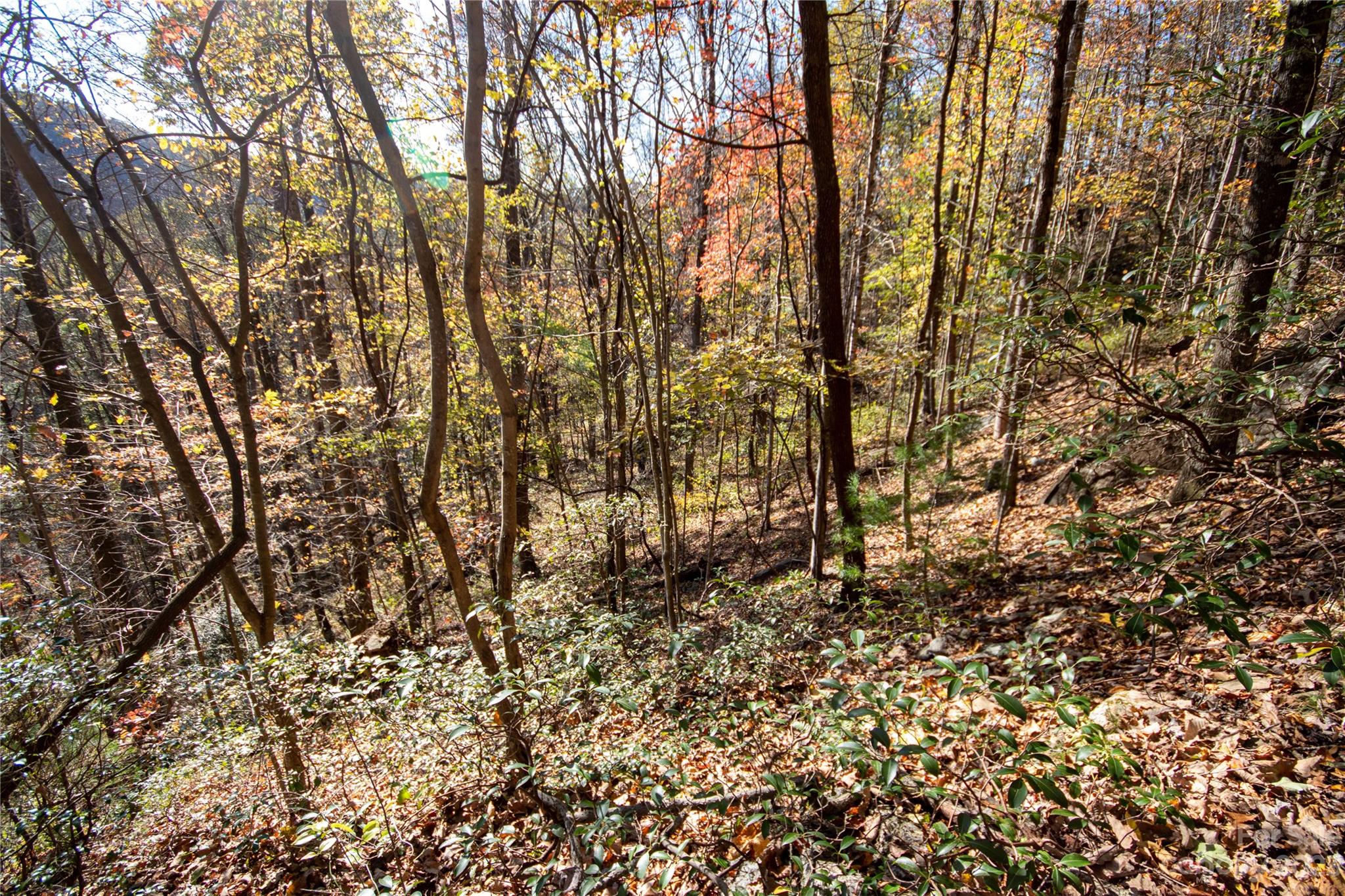 Lot# 547 Autumn Ridge 547 Property Photo 36