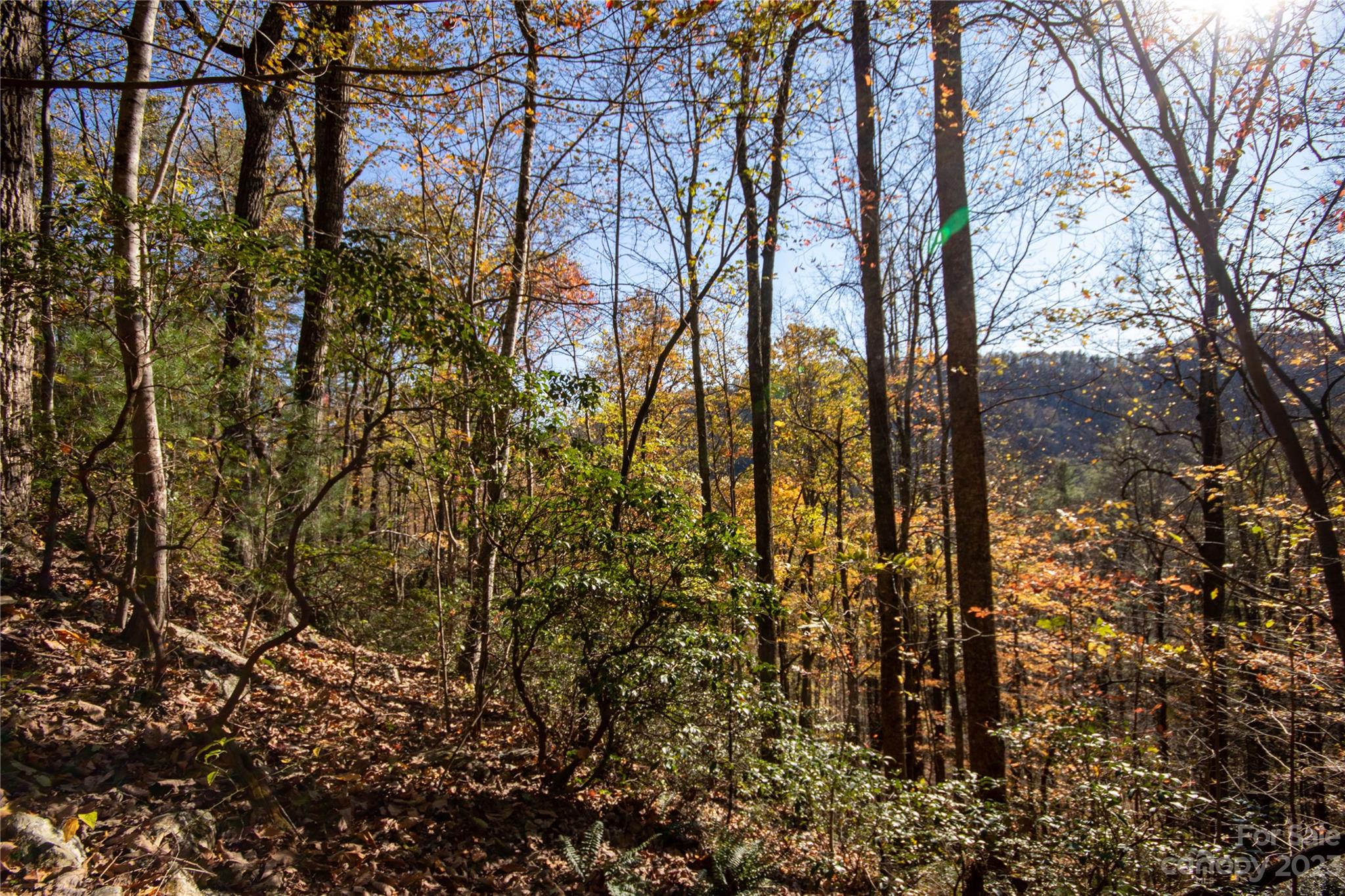 Lot# 547 Autumn Ridge 547 Property Photo 37
