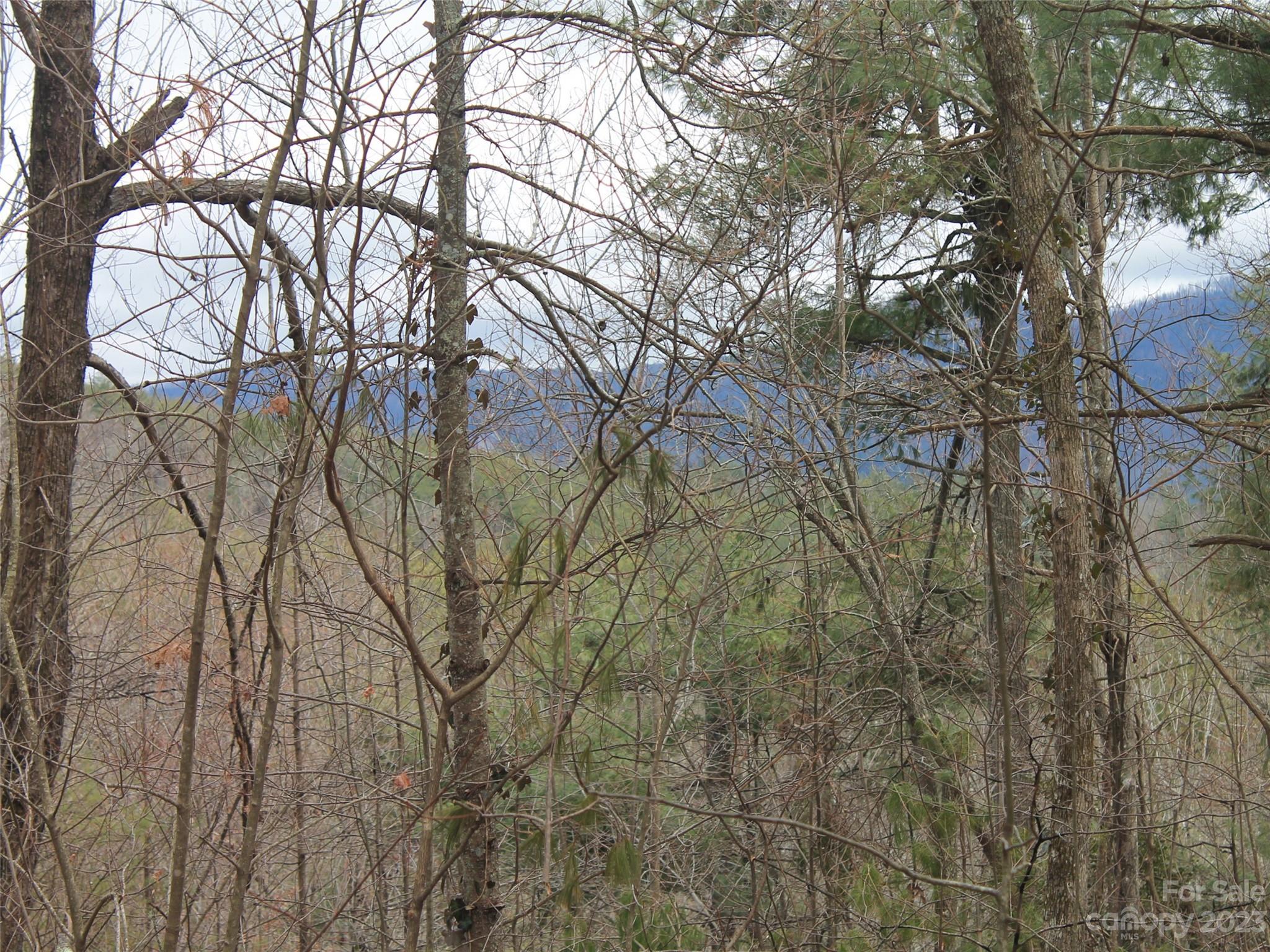 0000 Wildlife Trail .84 Acres Property Photo 1