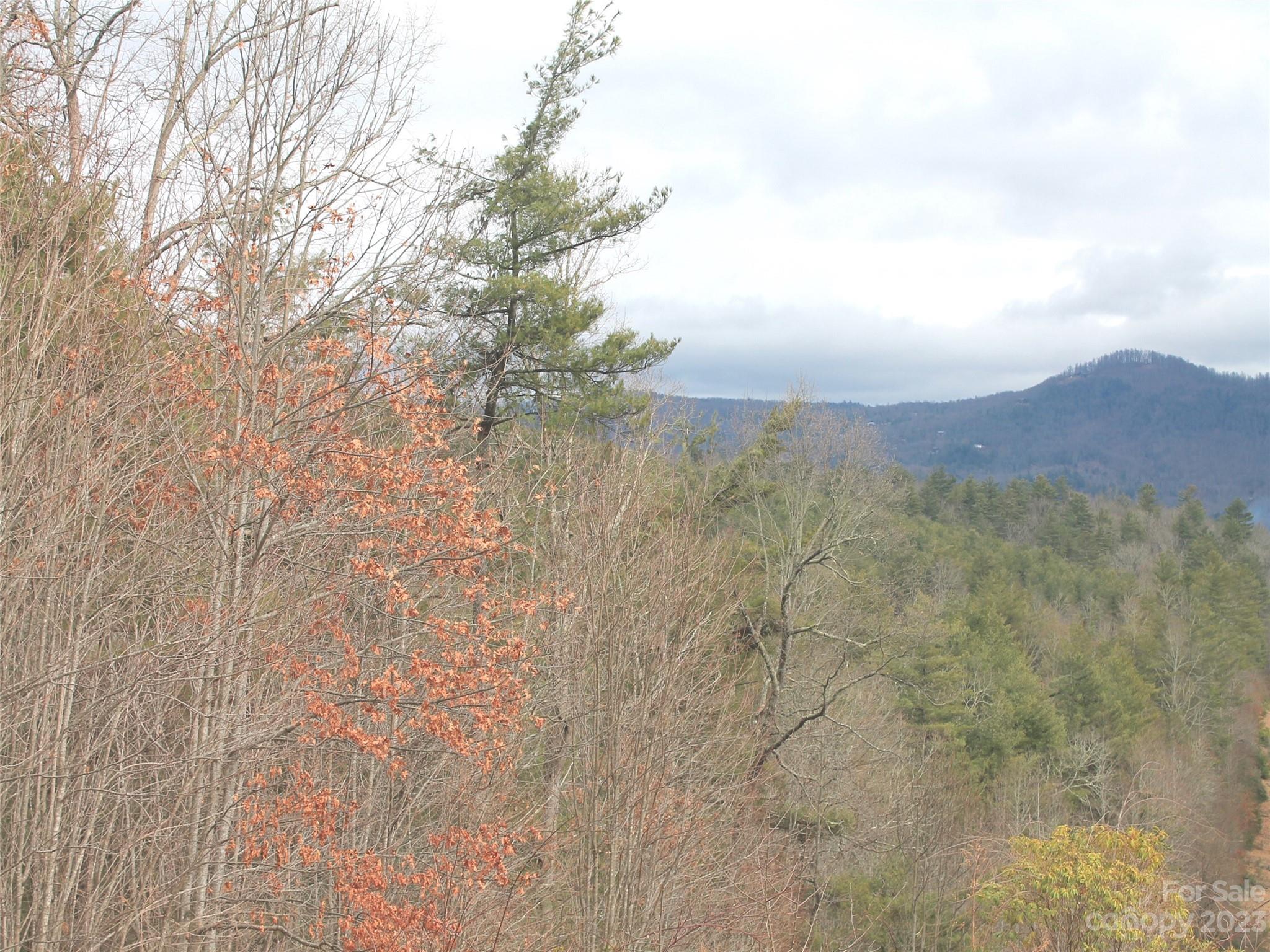 0000 Wildlife Trail .84 Acres Property Photo 3