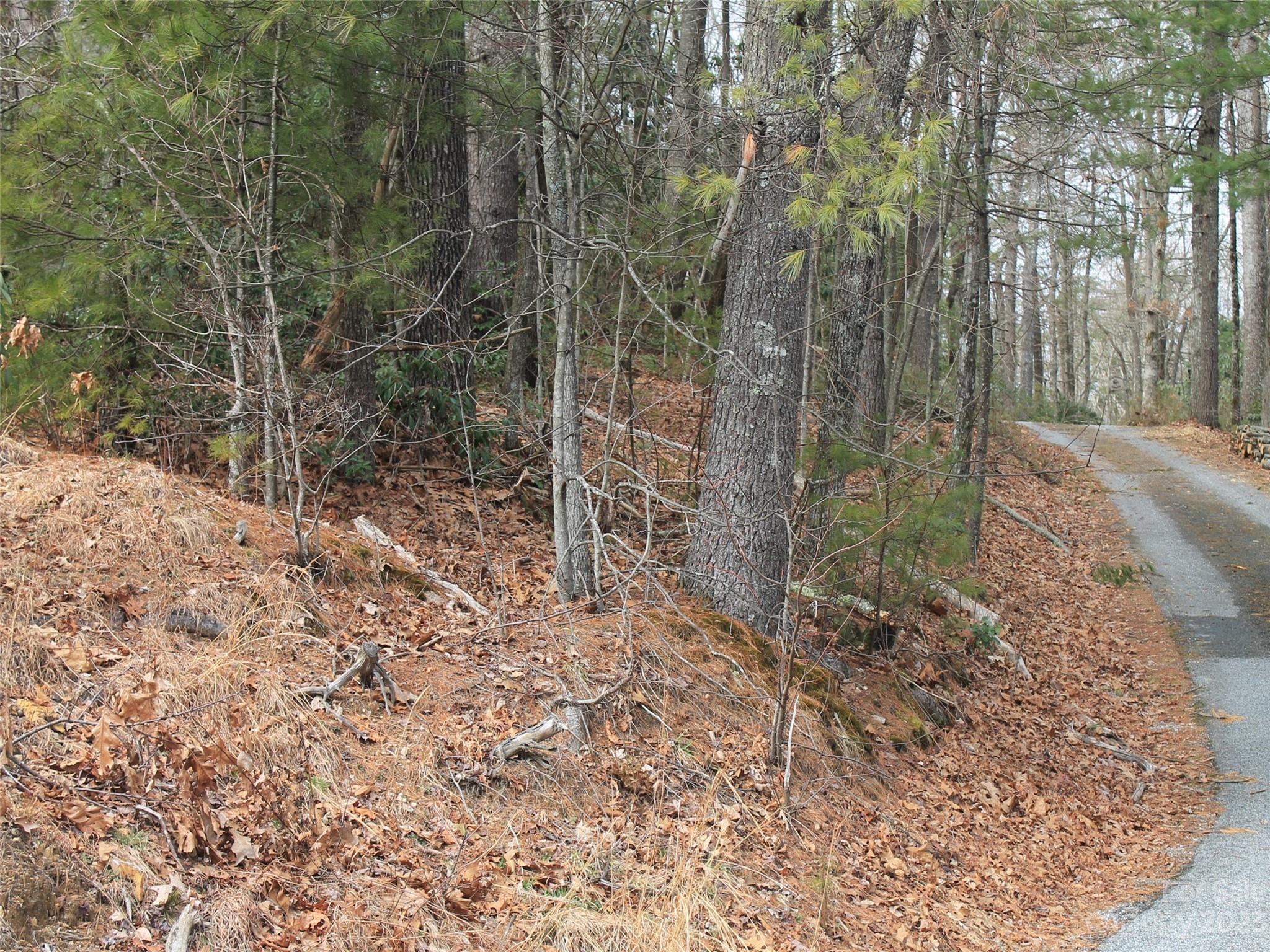 0000 Wildlife Trail .84 Acres Property Photo 4