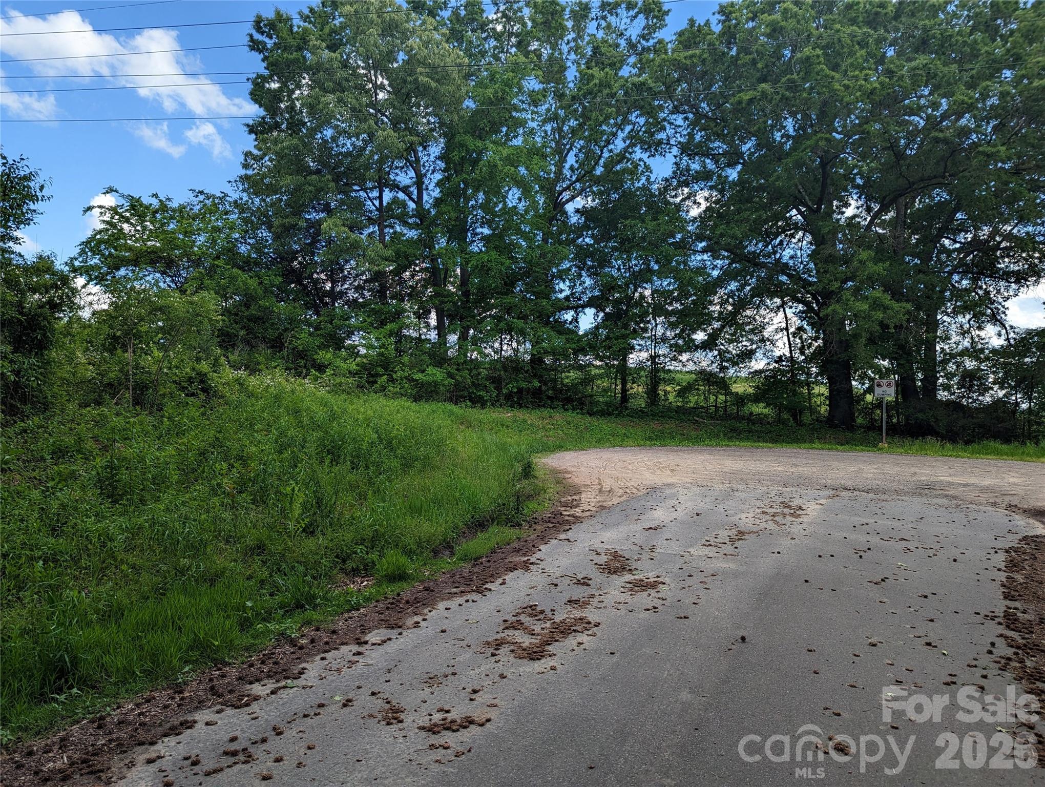 229 Boger Court Property Photo 2