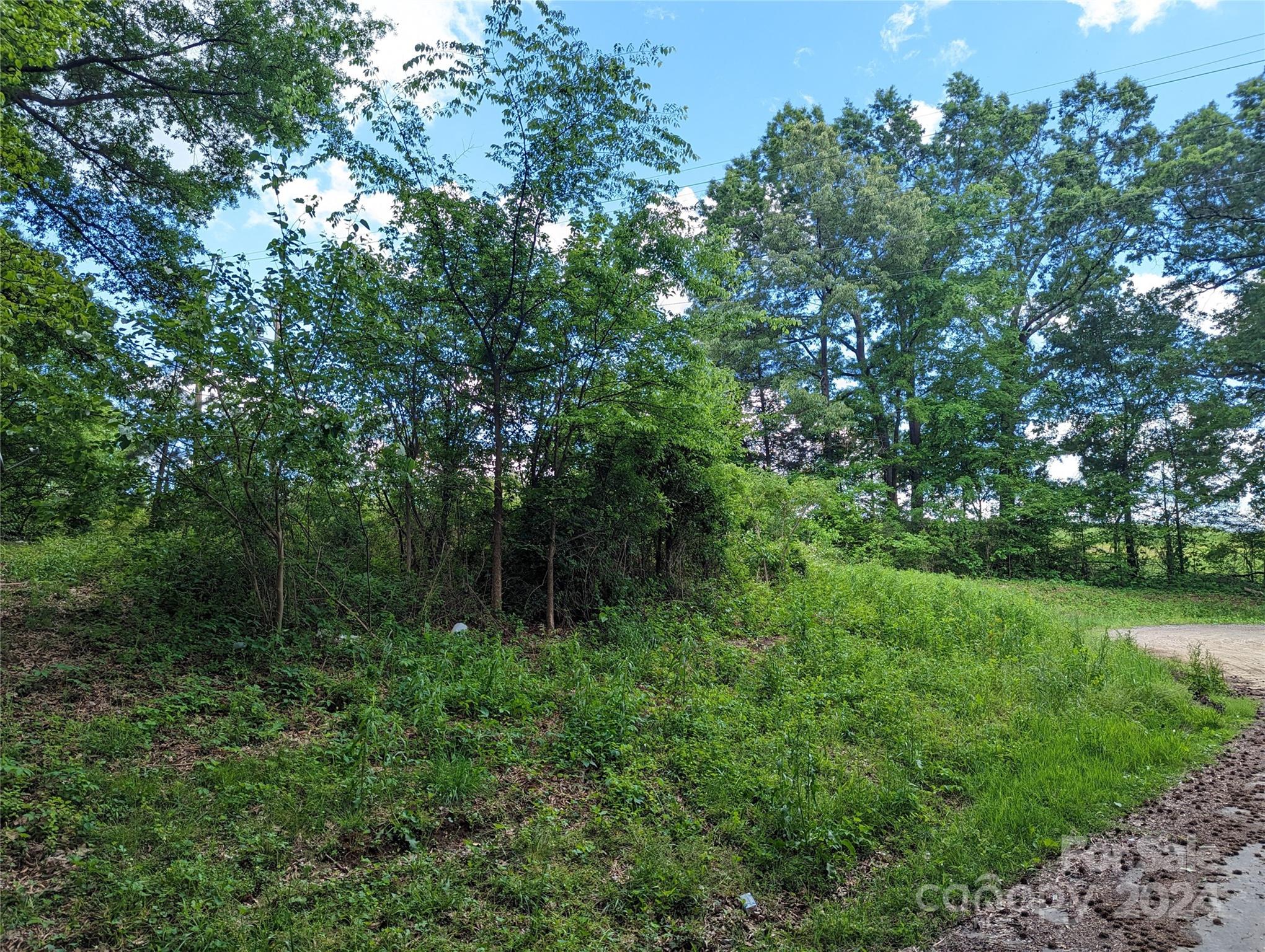 229 Boger Court Property Photo 3