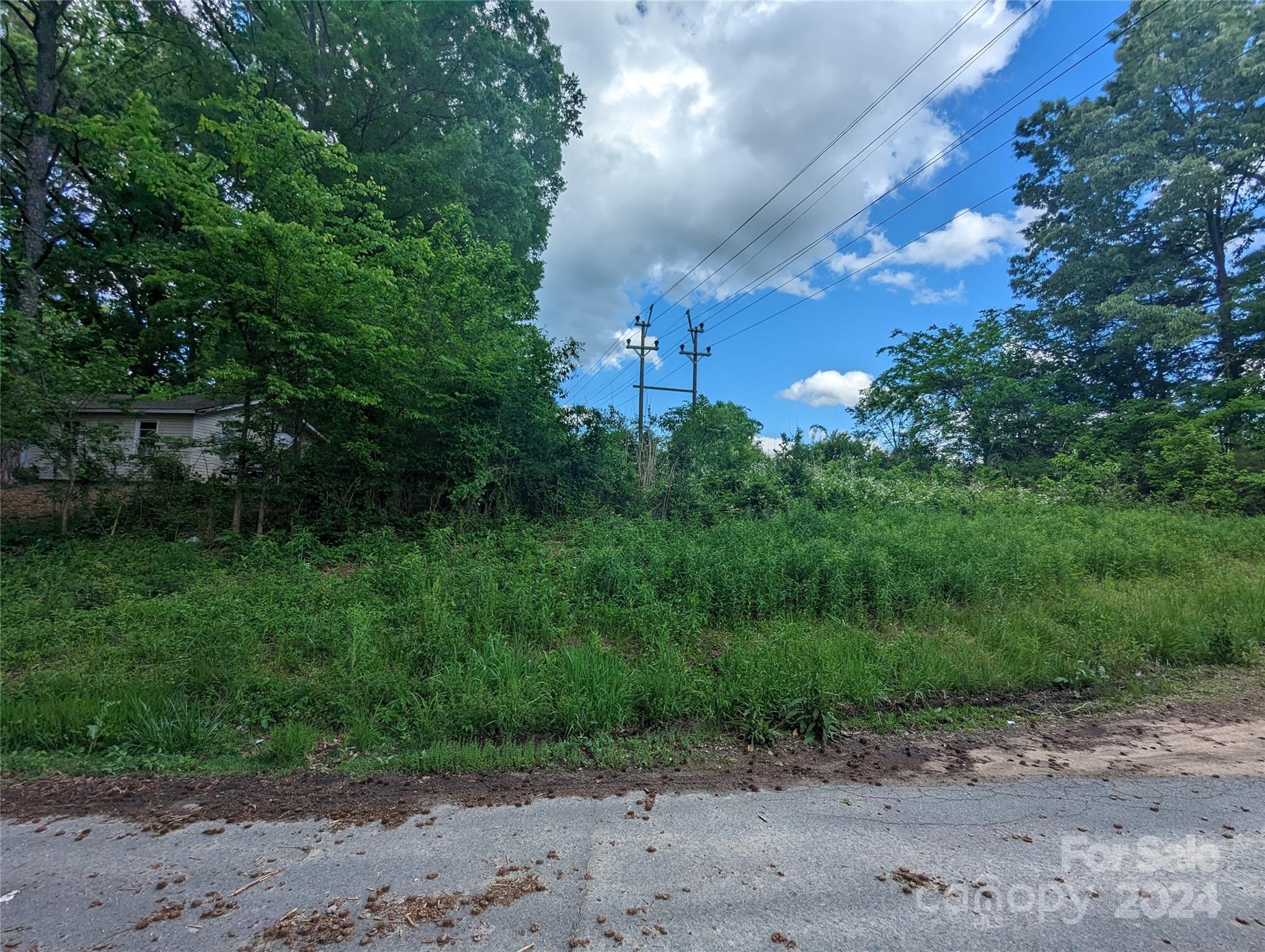 229 Boger Court Property Photo 4