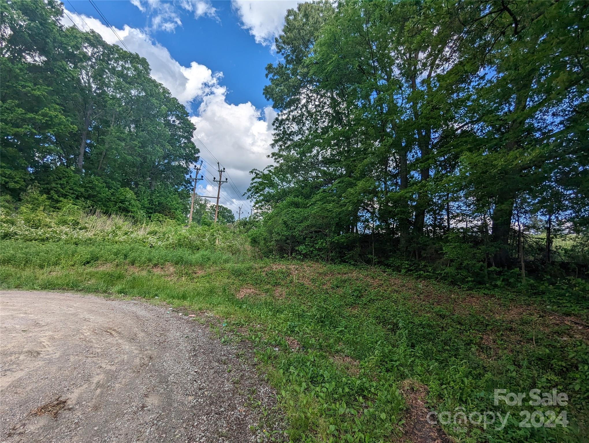 229 Boger Court Property Photo 5