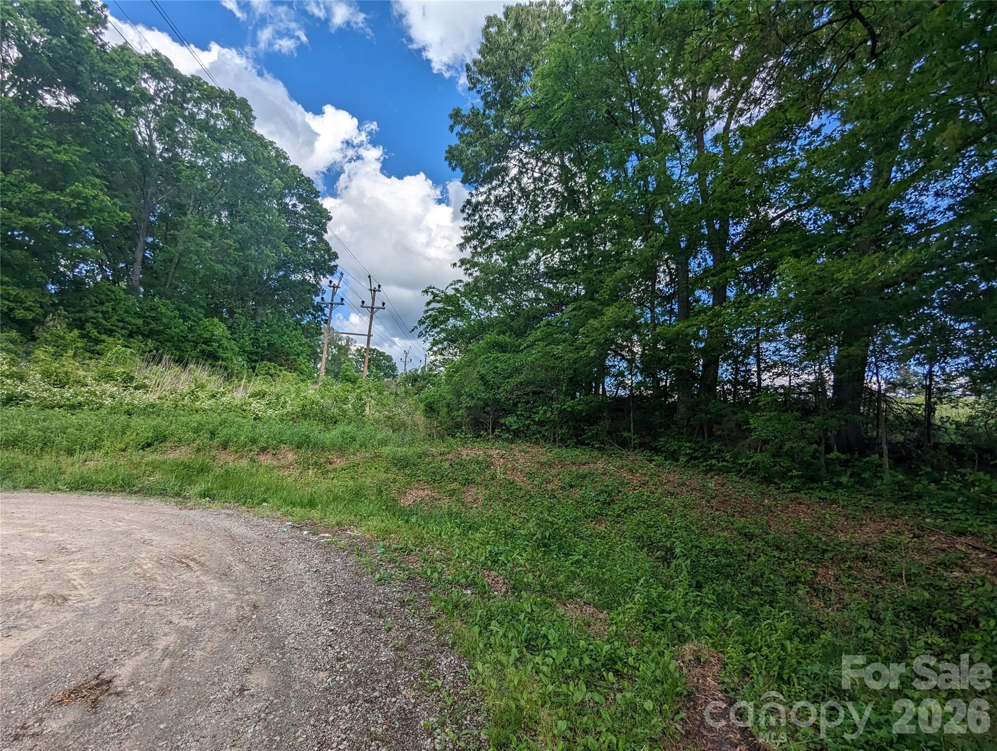 229 Boger Court Property Photo 5
