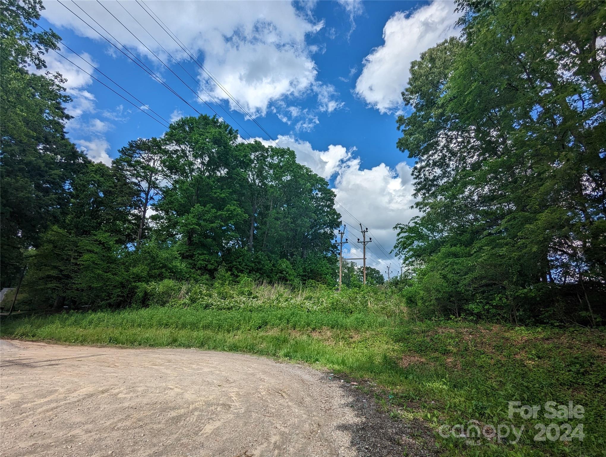 229 Boger Court Property Photo 6