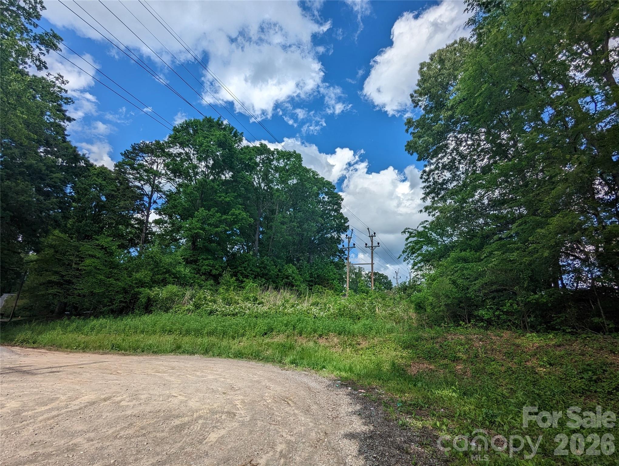 229 Boger Court Property Photo 6