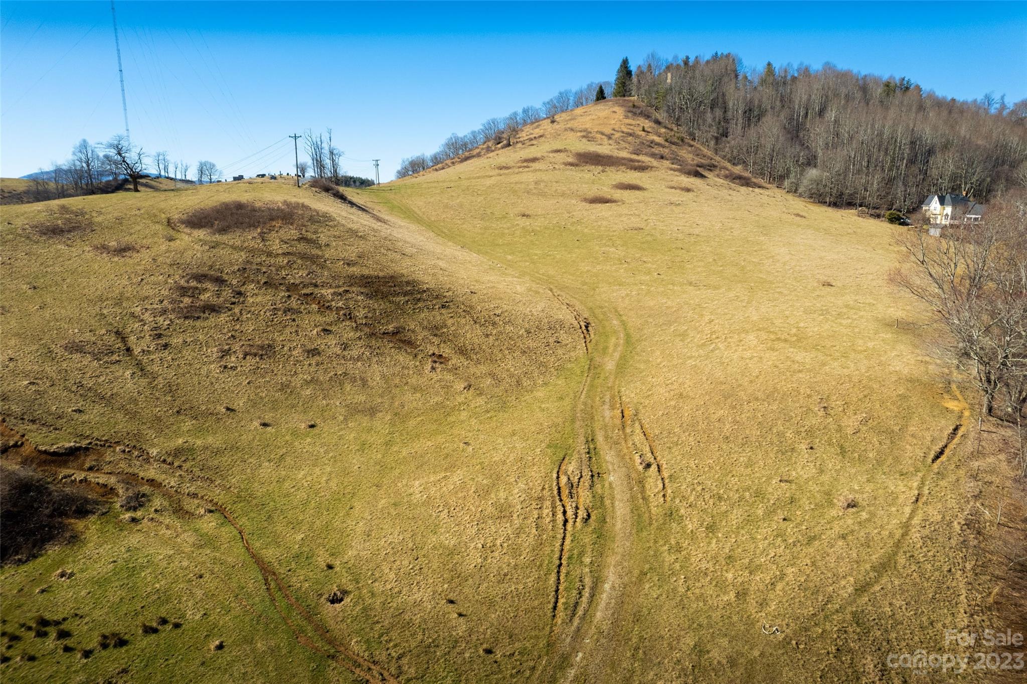 Tbd Poplar Grove Road Property Photo 13