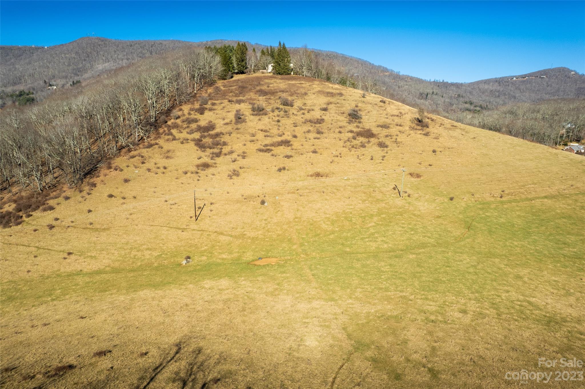 Tbd Poplar Grove Road Property Photo 17