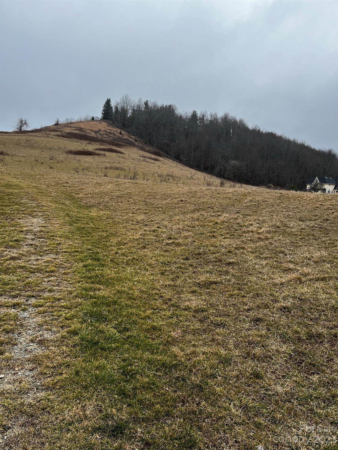 Tbd Poplar Grove Road Property Photo 23