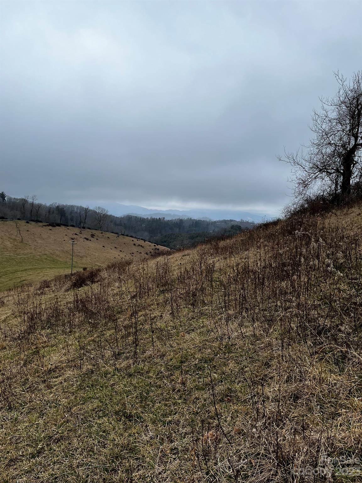 Tbd Poplar Grove Road Property Photo 30