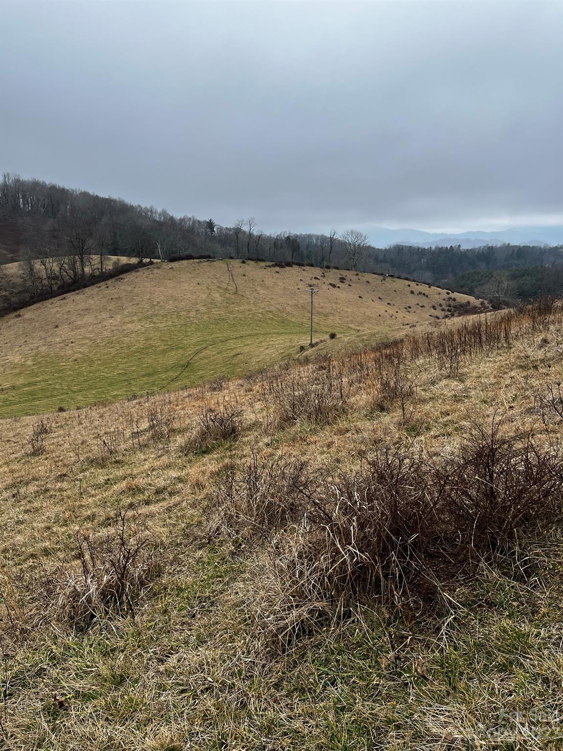 Tbd Poplar Grove Road Property Photo 33