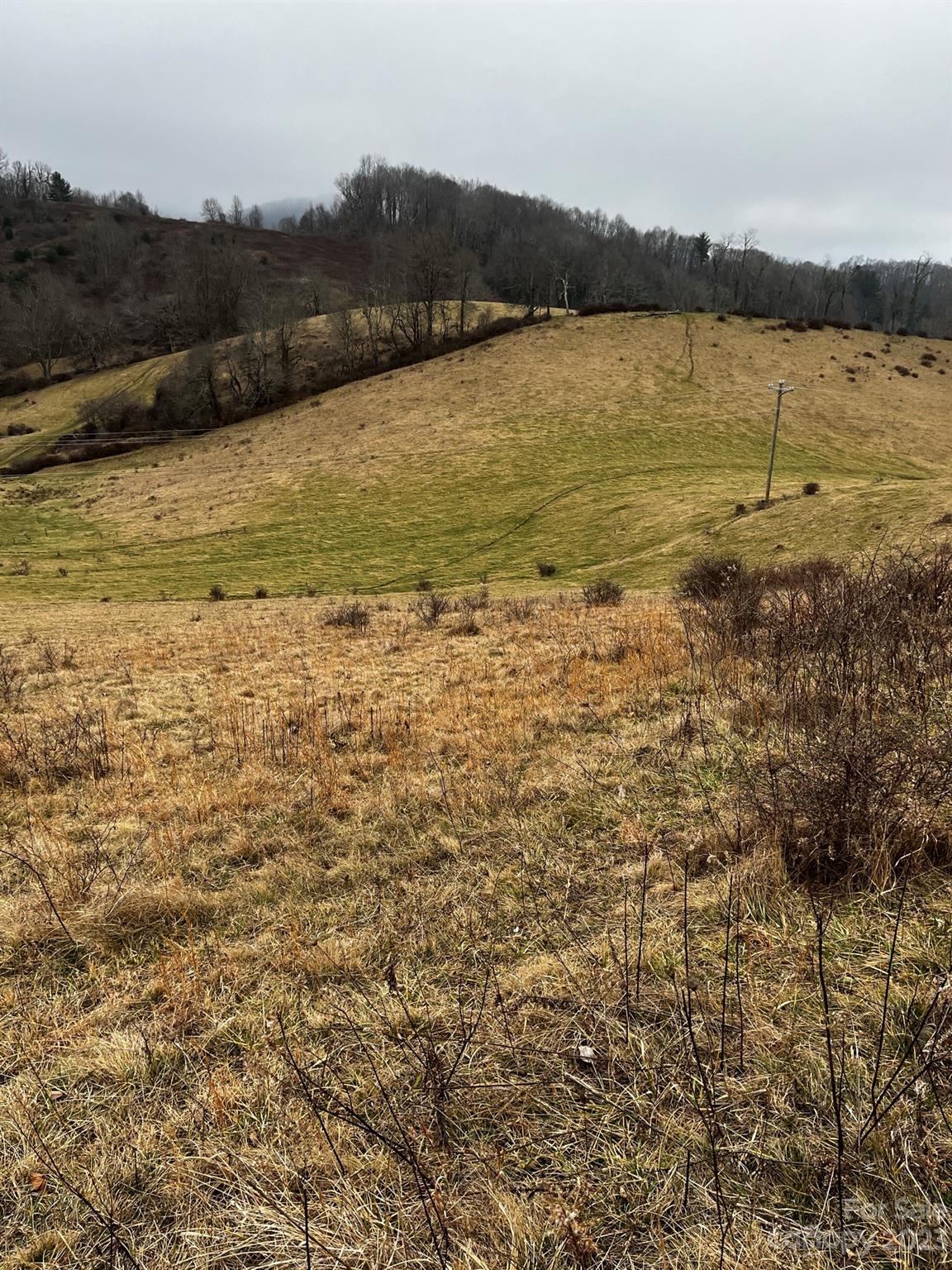 Tbd Poplar Grove Road Property Photo 34