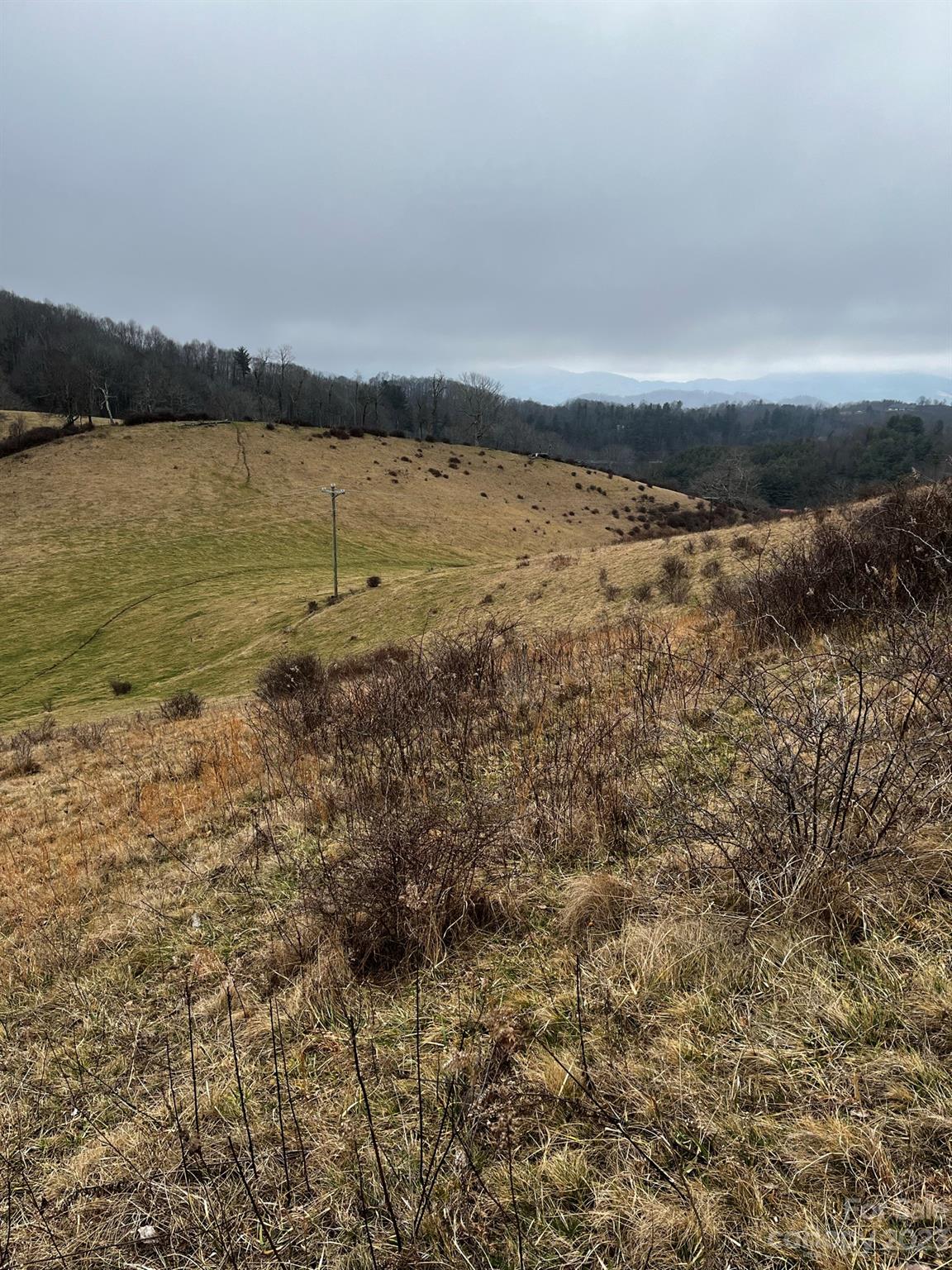 Tbd Poplar Grove Road Property Photo 35