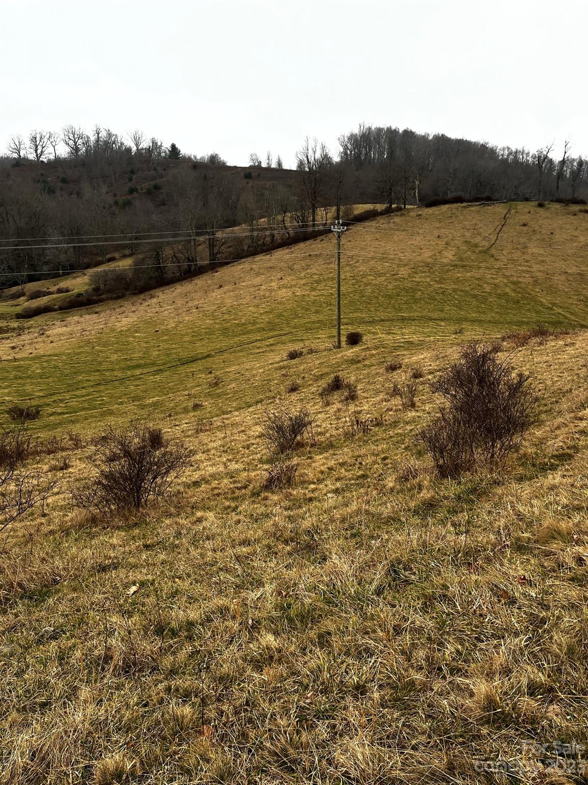 Tbd Poplar Grove Road Property Photo 37