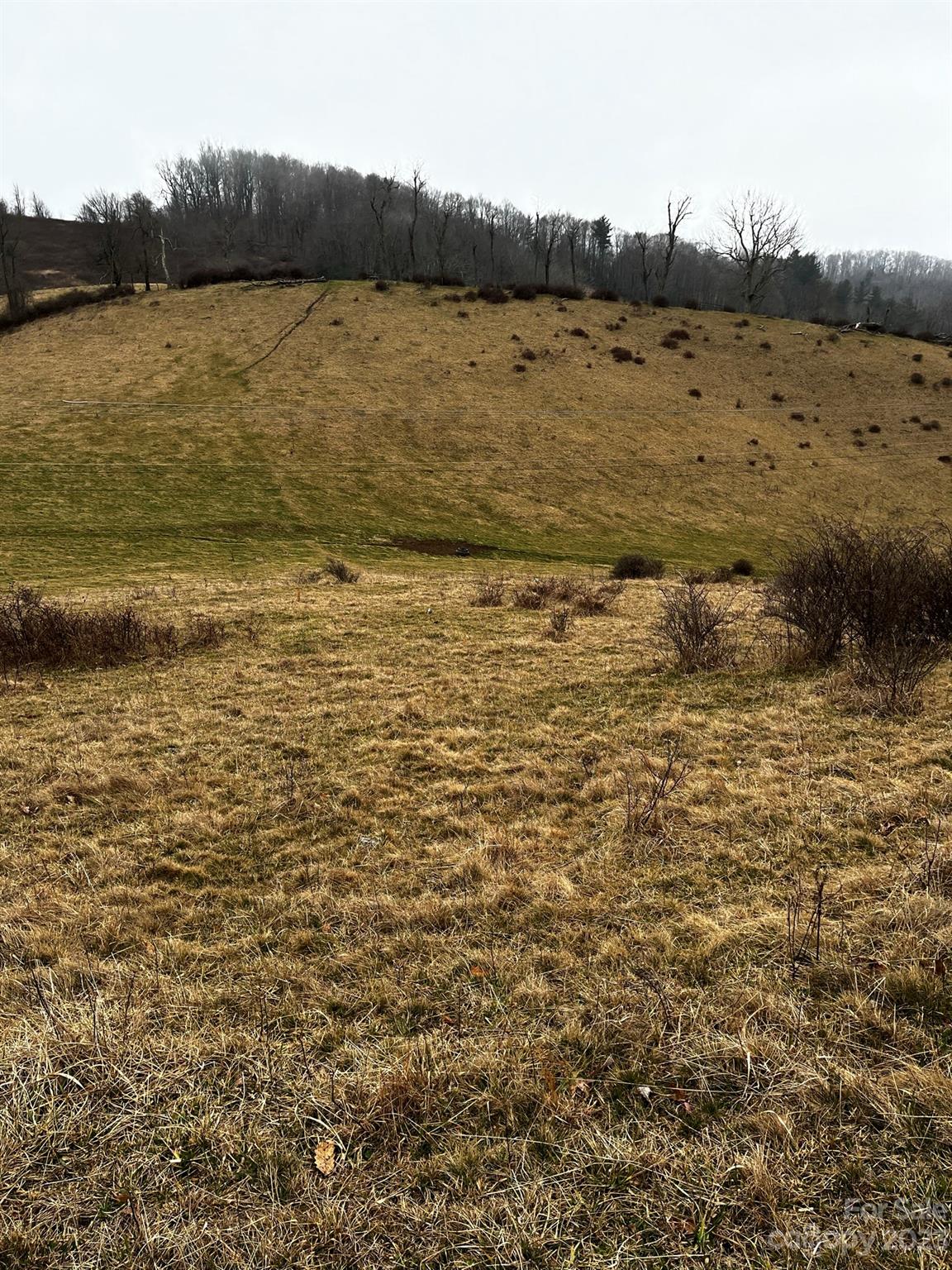 Tbd Poplar Grove Road Property Photo 39