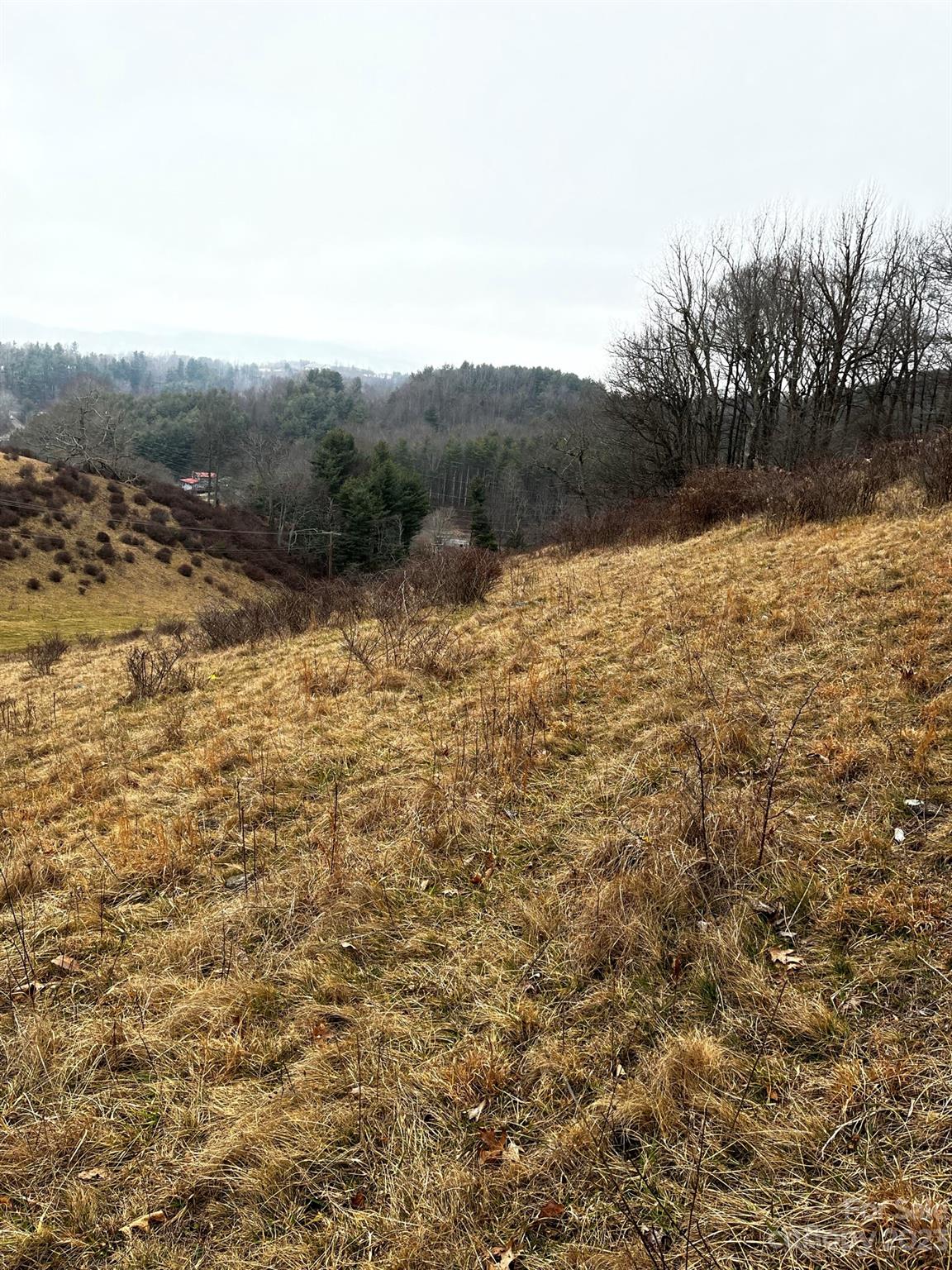 Tbd Poplar Grove Road Property Photo 41