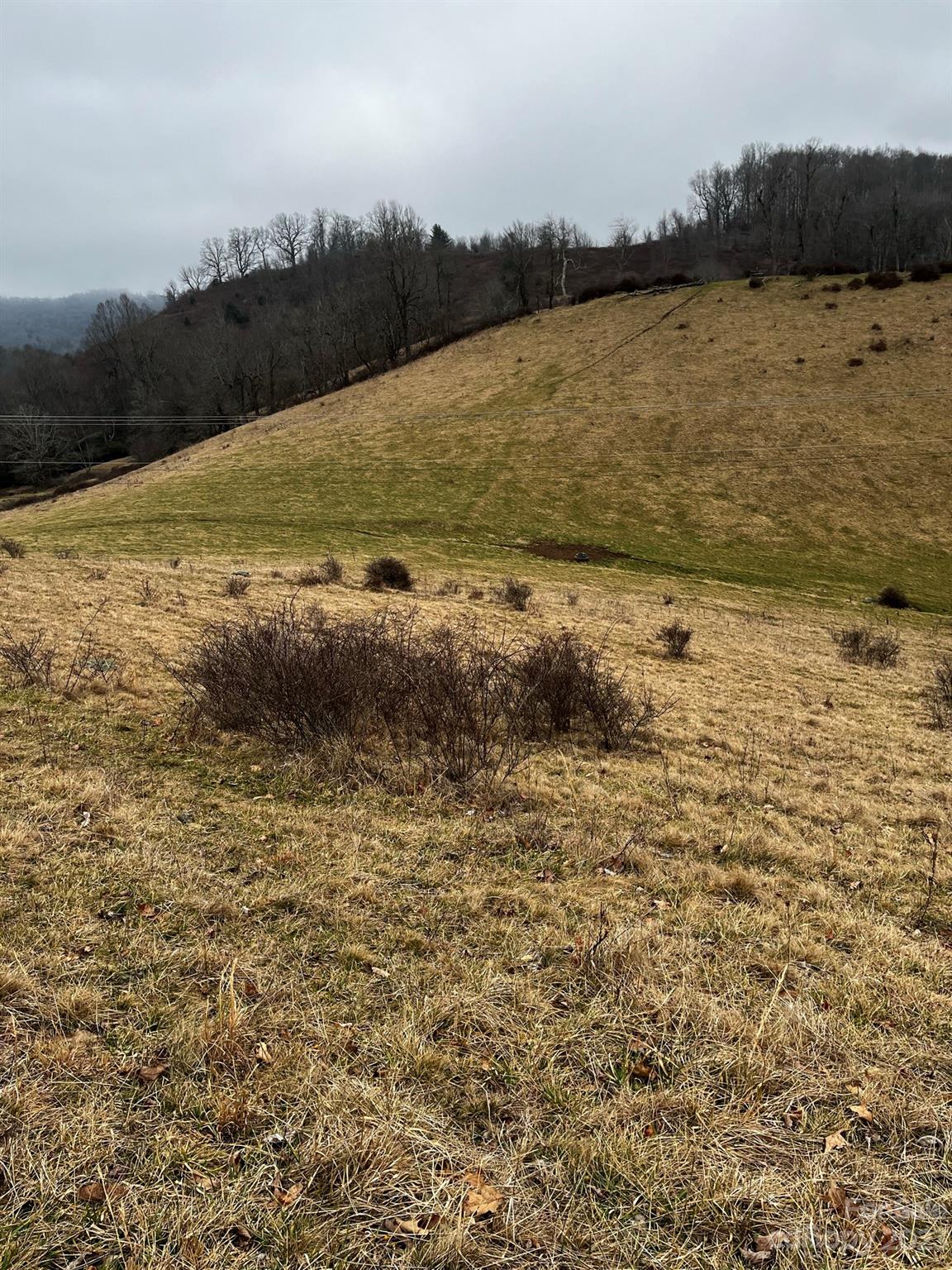 Tbd Poplar Grove Road Property Photo 42
