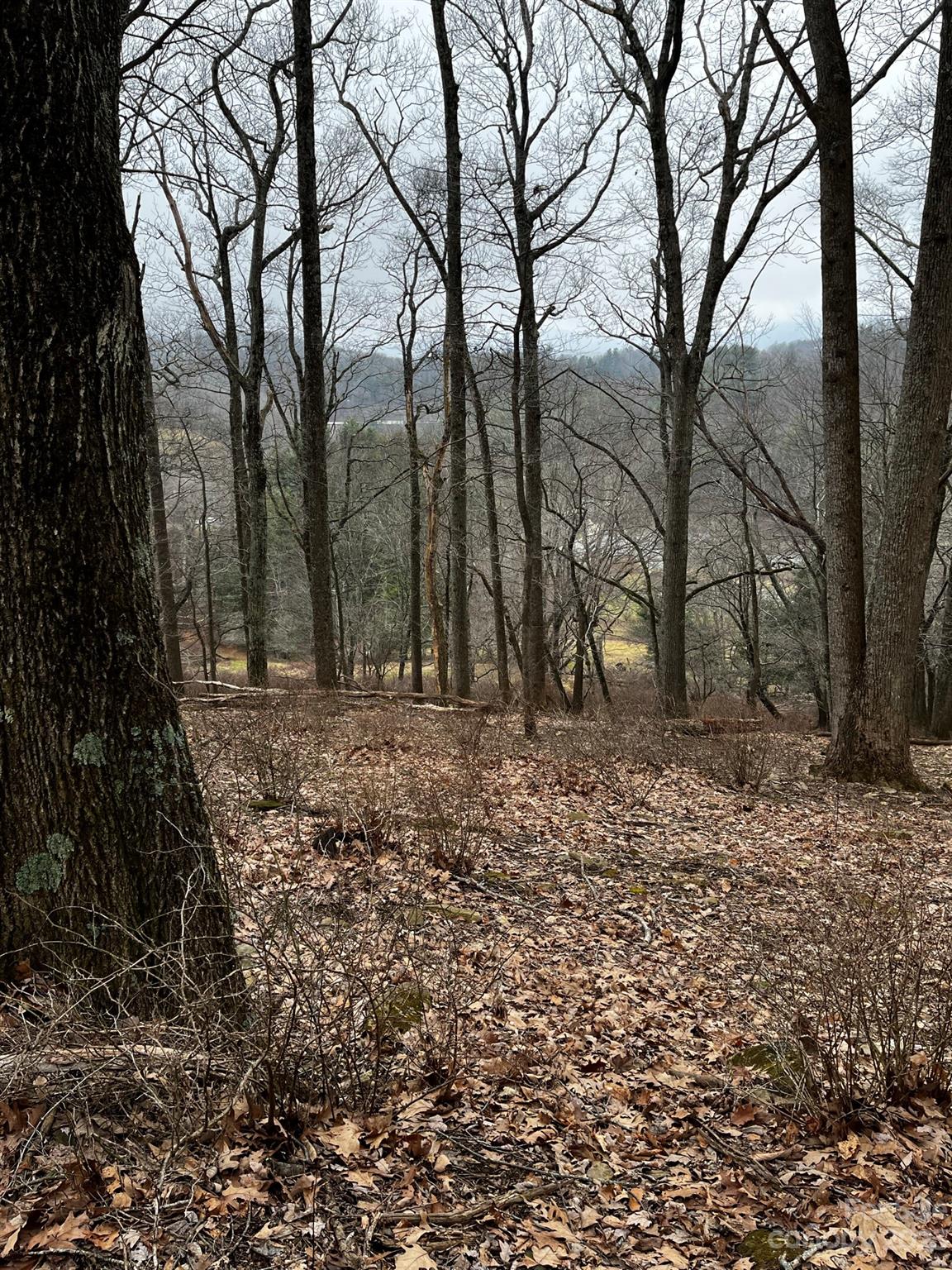 Tbd Poplar Grove Road Property Photo 43