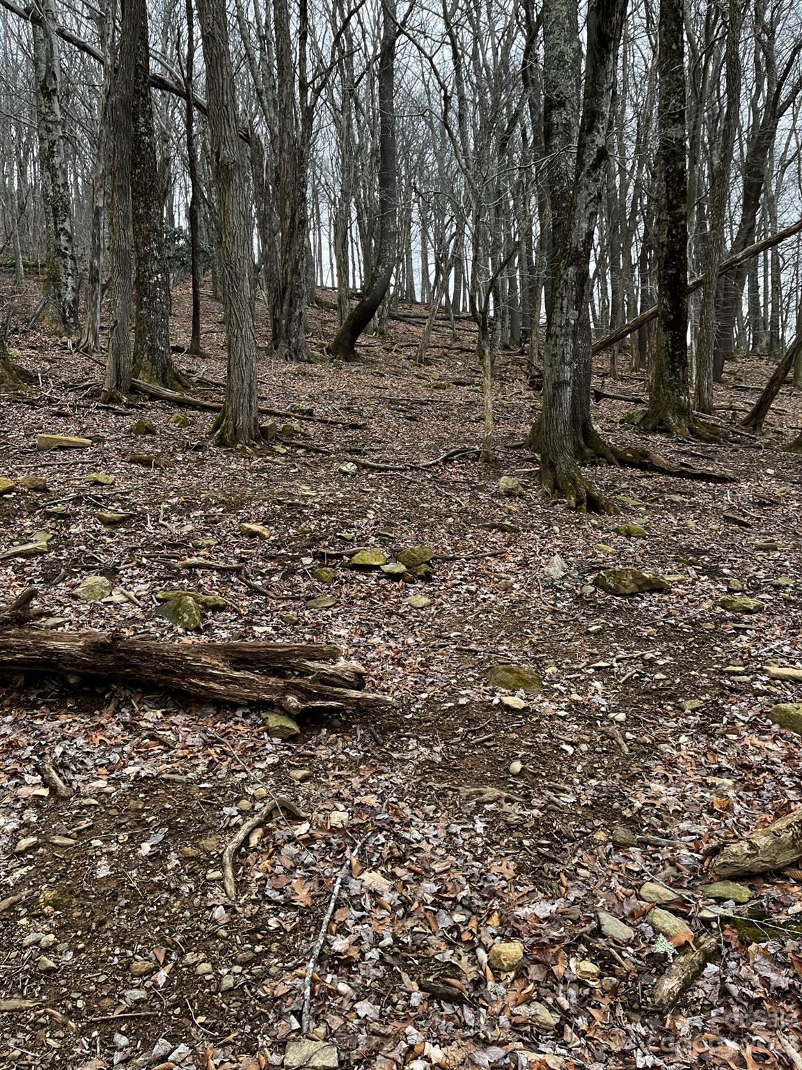 Tbd Poplar Grove Road Property Photo 44