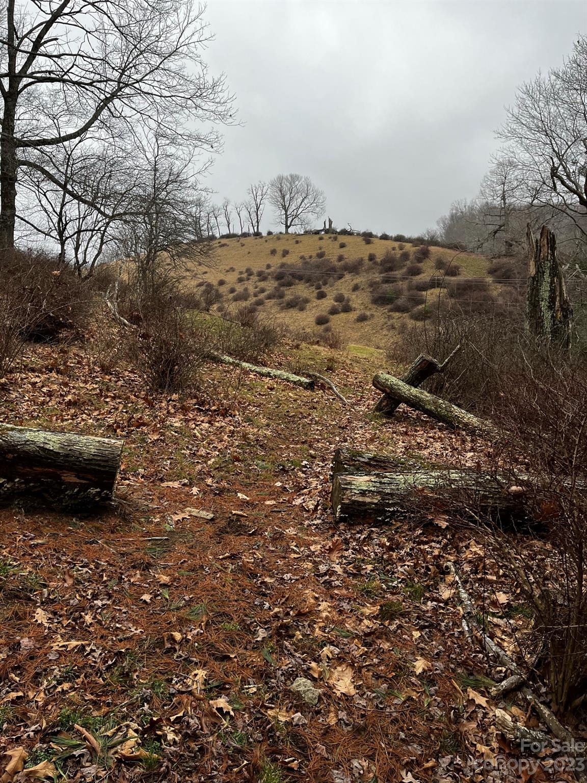 Tbd Poplar Grove Road Property Photo 45