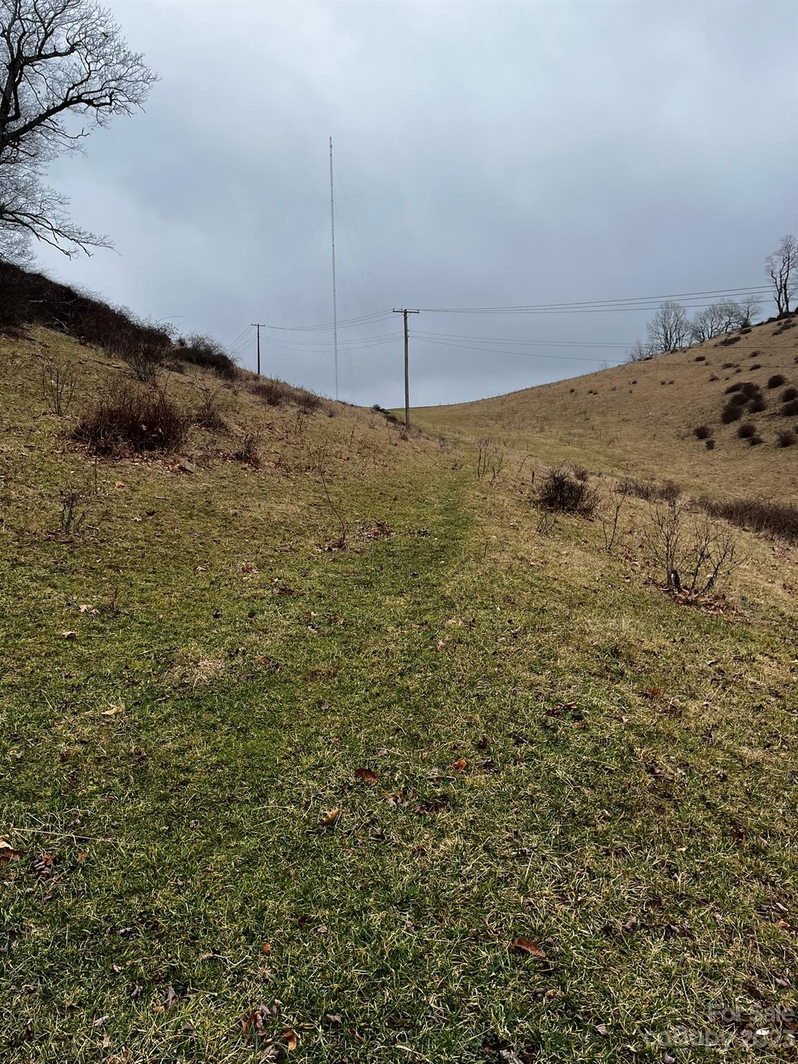 Tbd Poplar Grove Road Property Photo 46