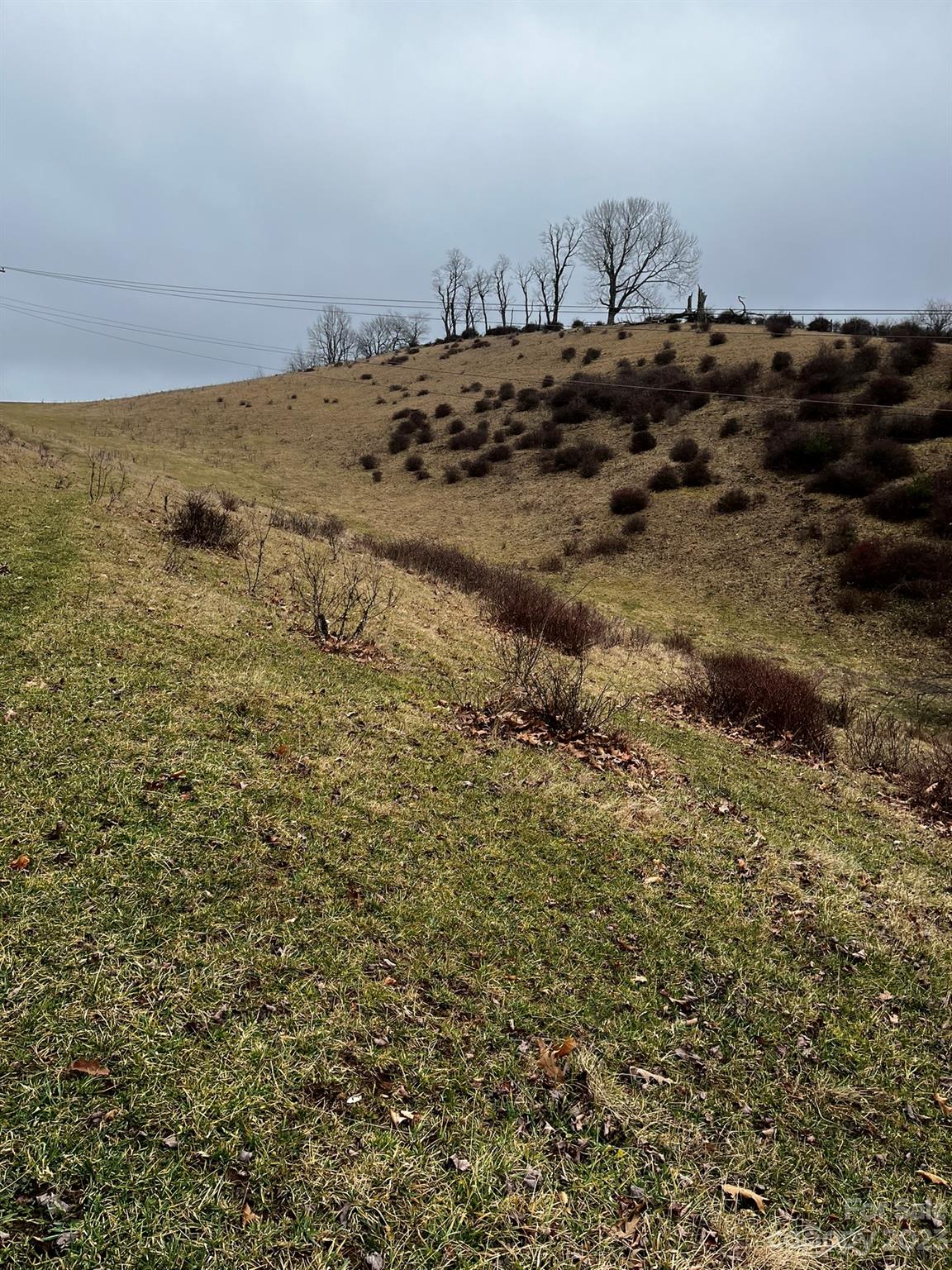 Tbd Poplar Grove Road Property Photo 47