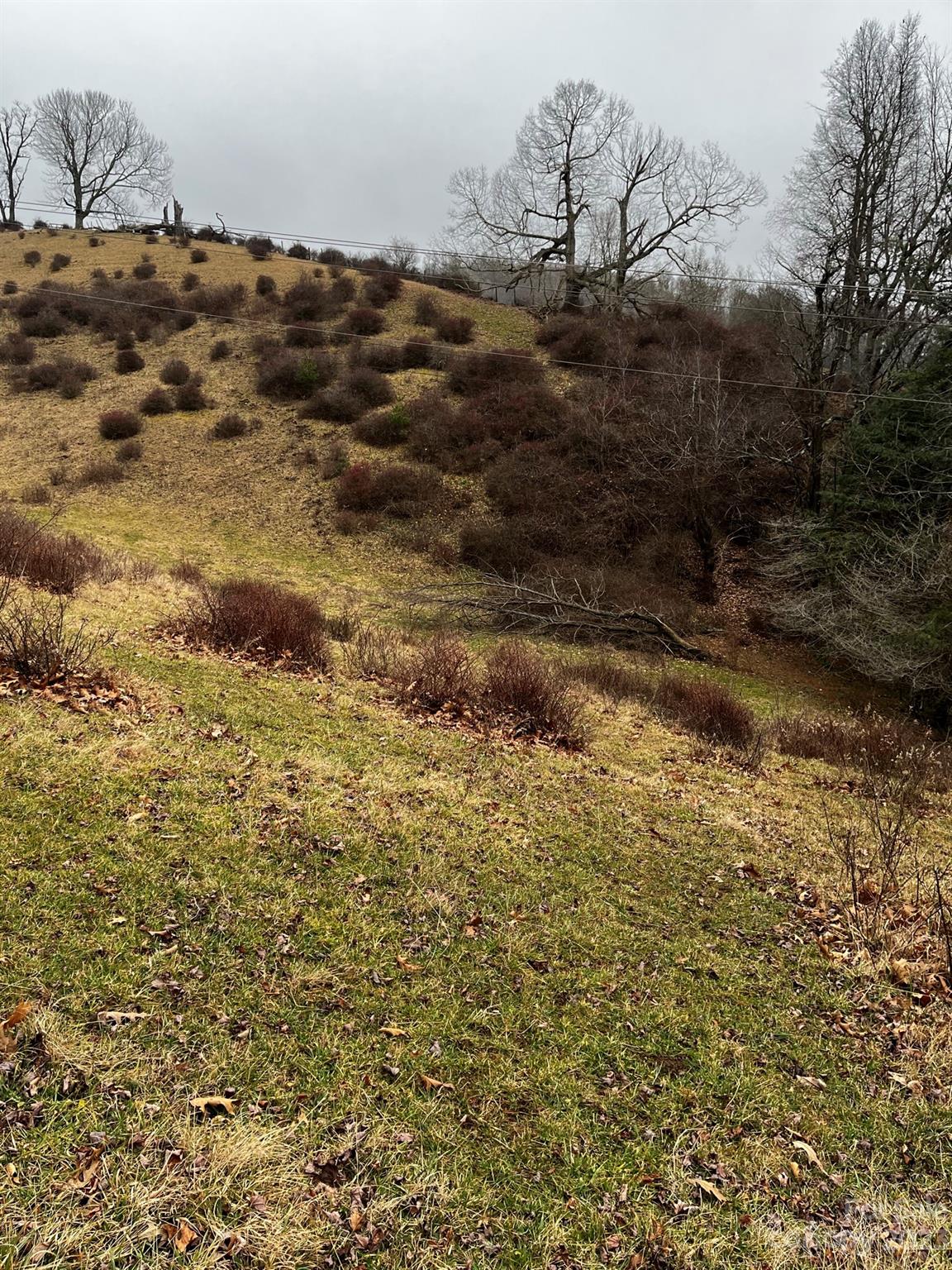Tbd Poplar Grove Road Property Photo 48