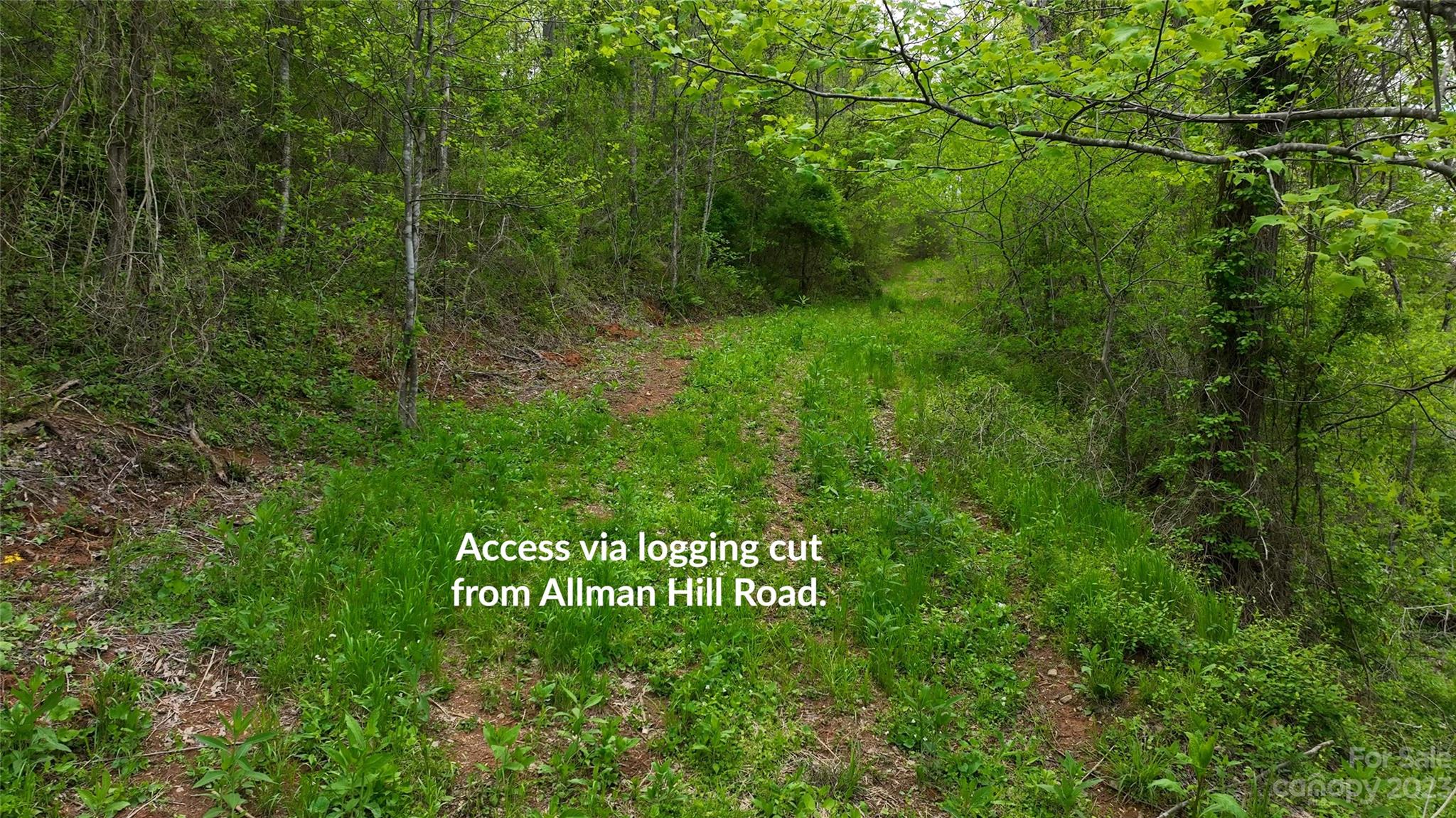 99999 Allman Hill Road Property Photo 5