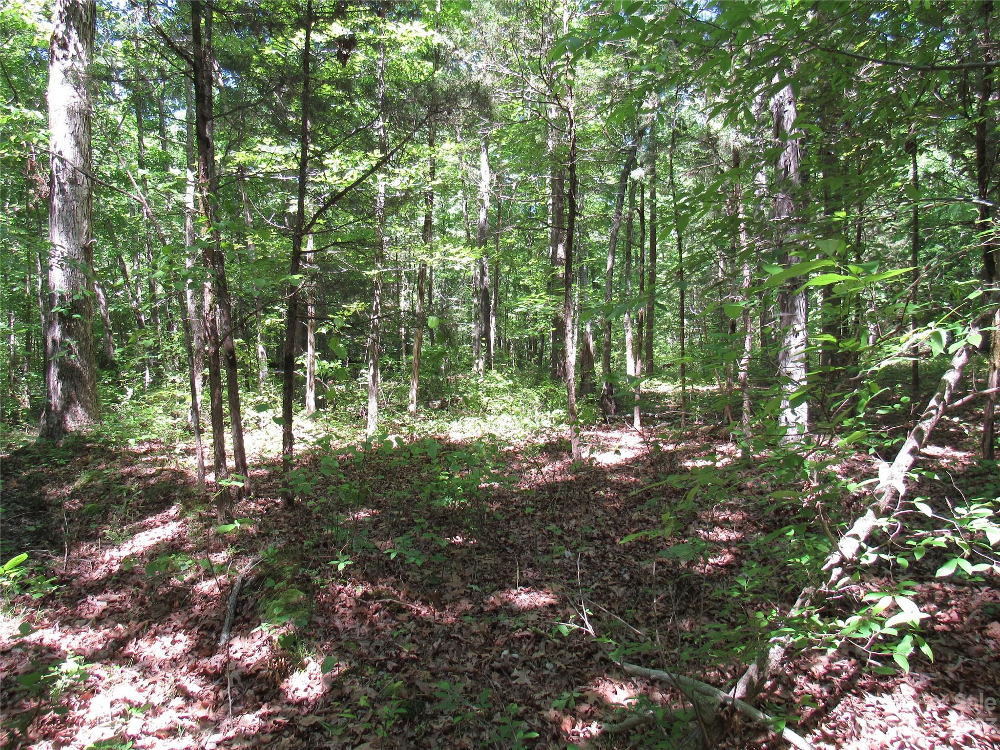 5575 Sapp Road Property Photo 1