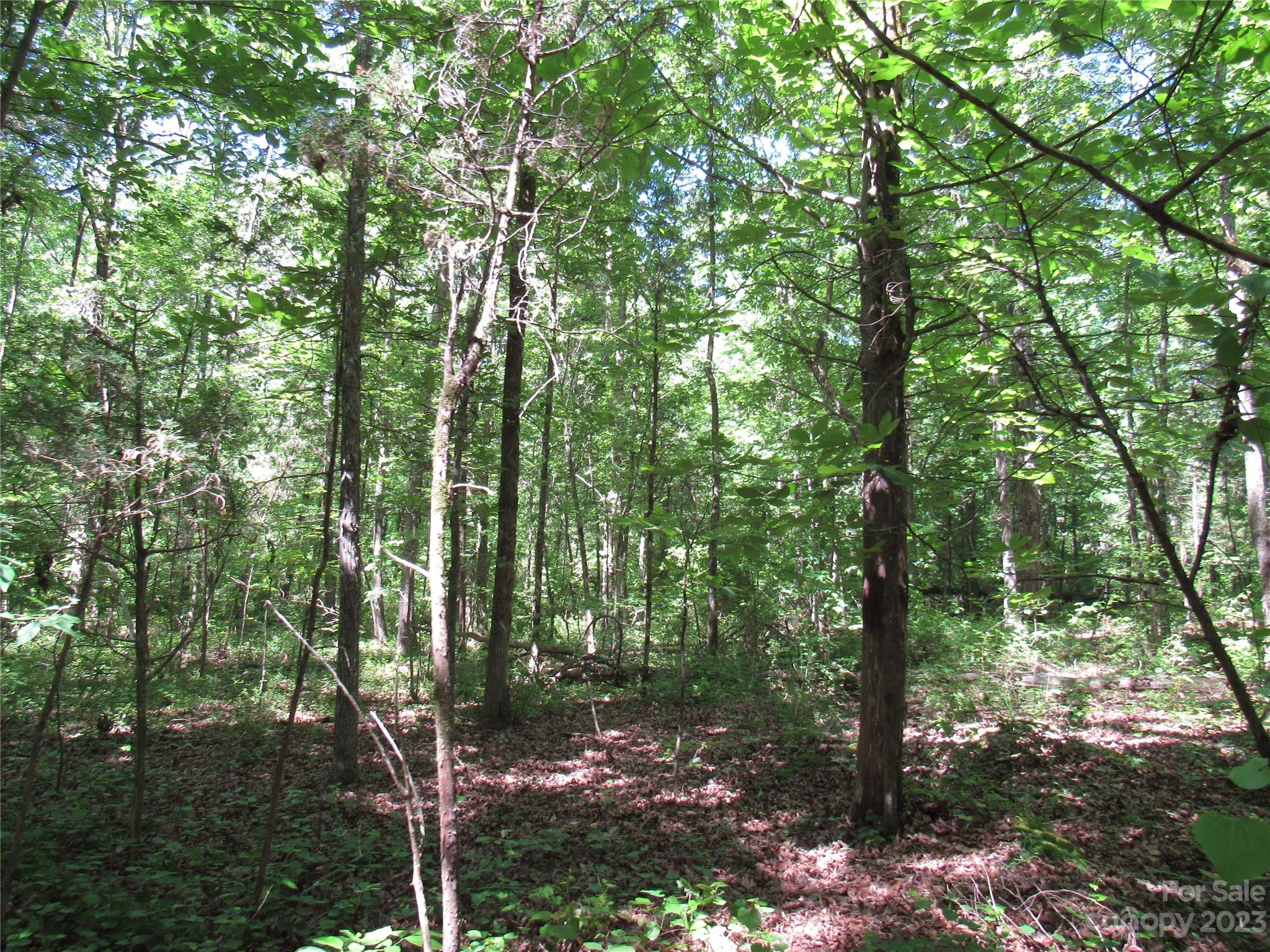 5575 Sapp Road Property Photo 2