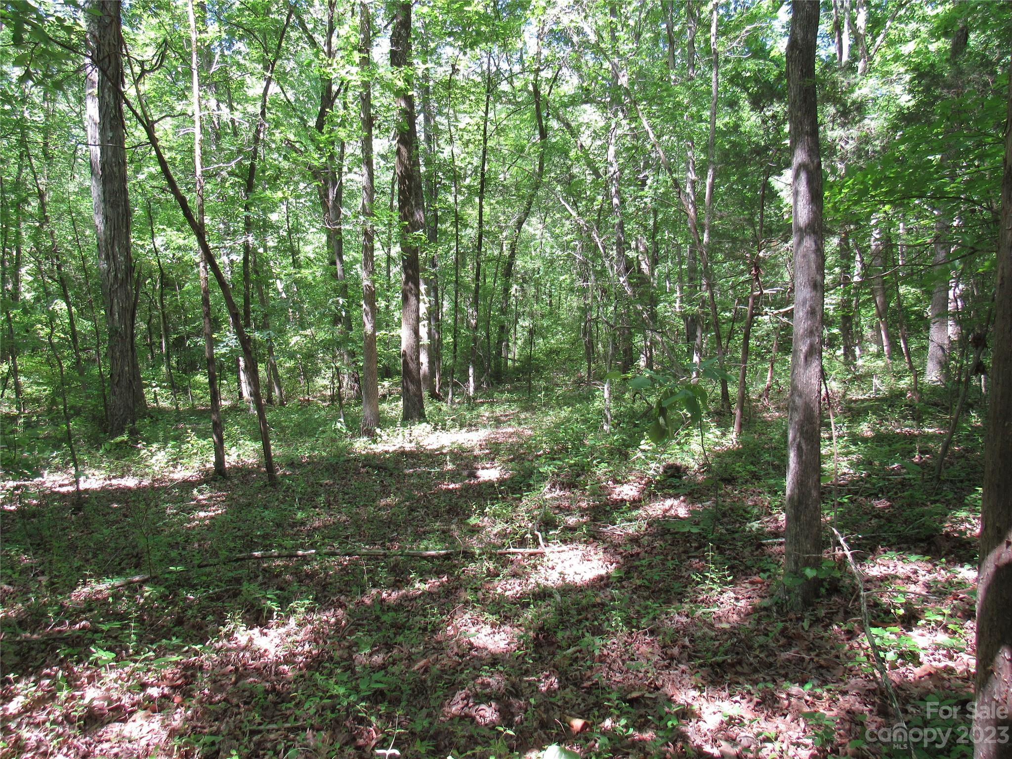 5575 Sapp Road Property Photo 3