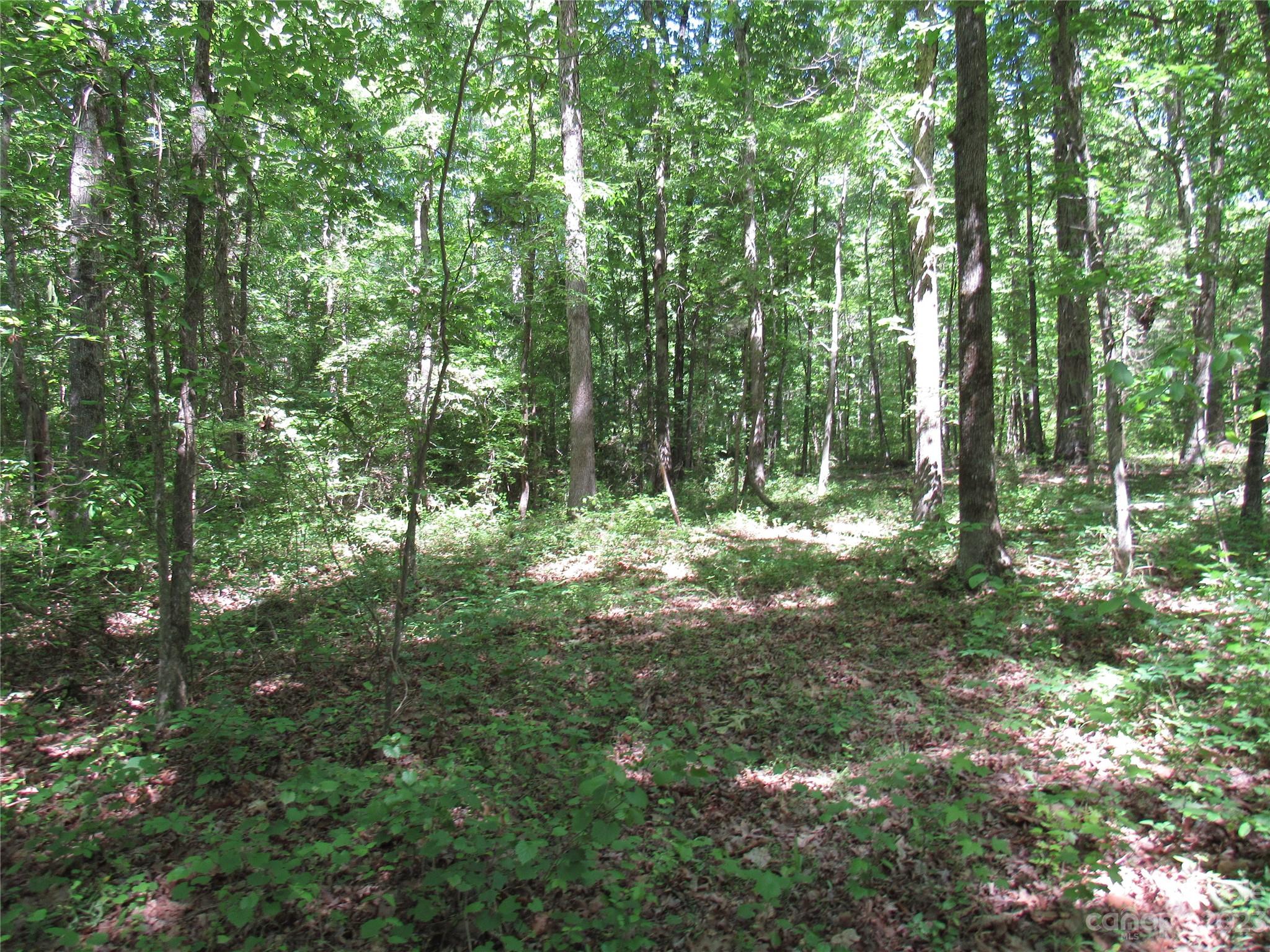 5575 Sapp Road Property Photo 4
