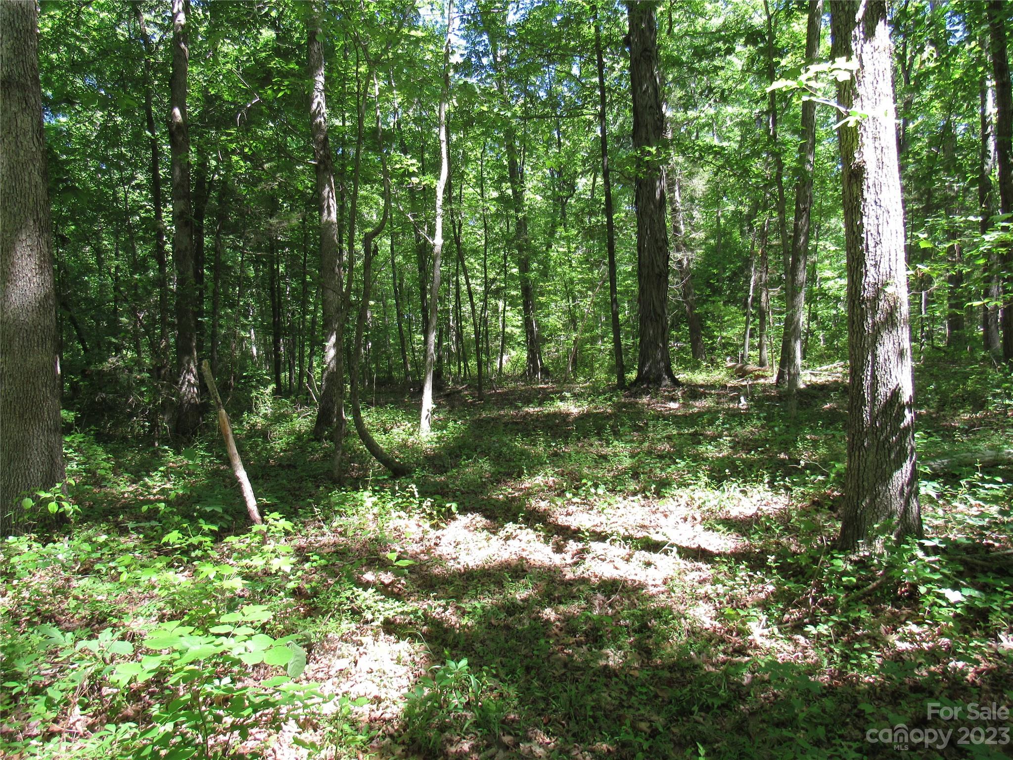 5575 Sapp Road Property Photo 5