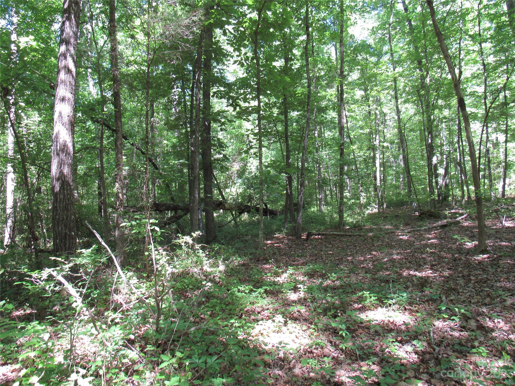 5575 Sapp Road Property Photo 6