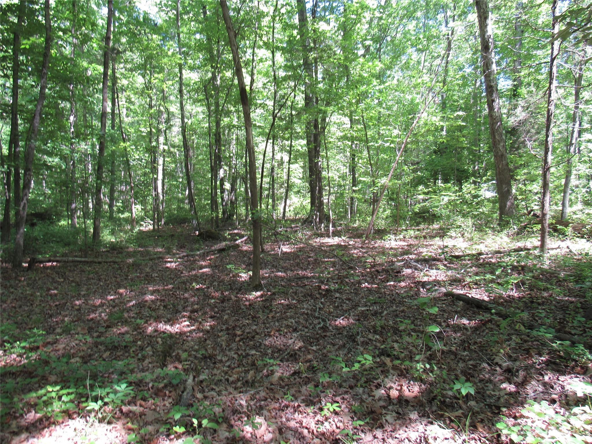 5575 Sapp Road Property Photo 7