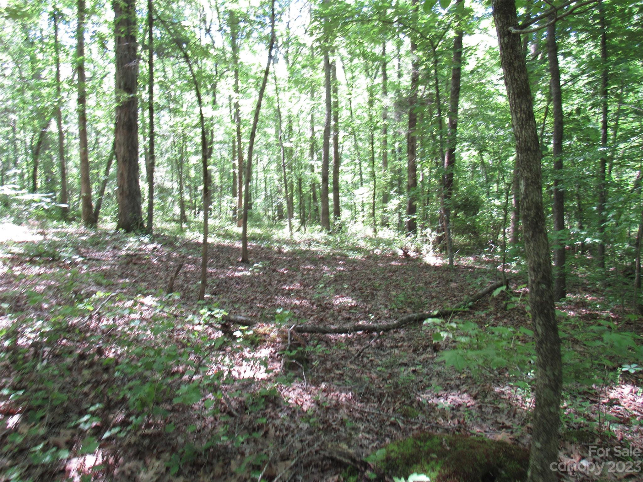 5575 Sapp Road Property Photo 8