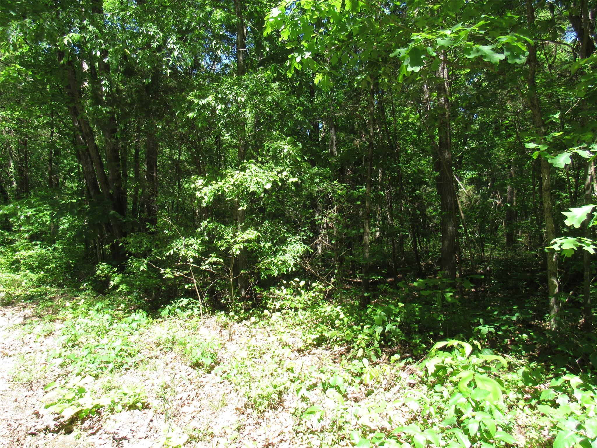 5575 Sapp Road Property Photo 11
