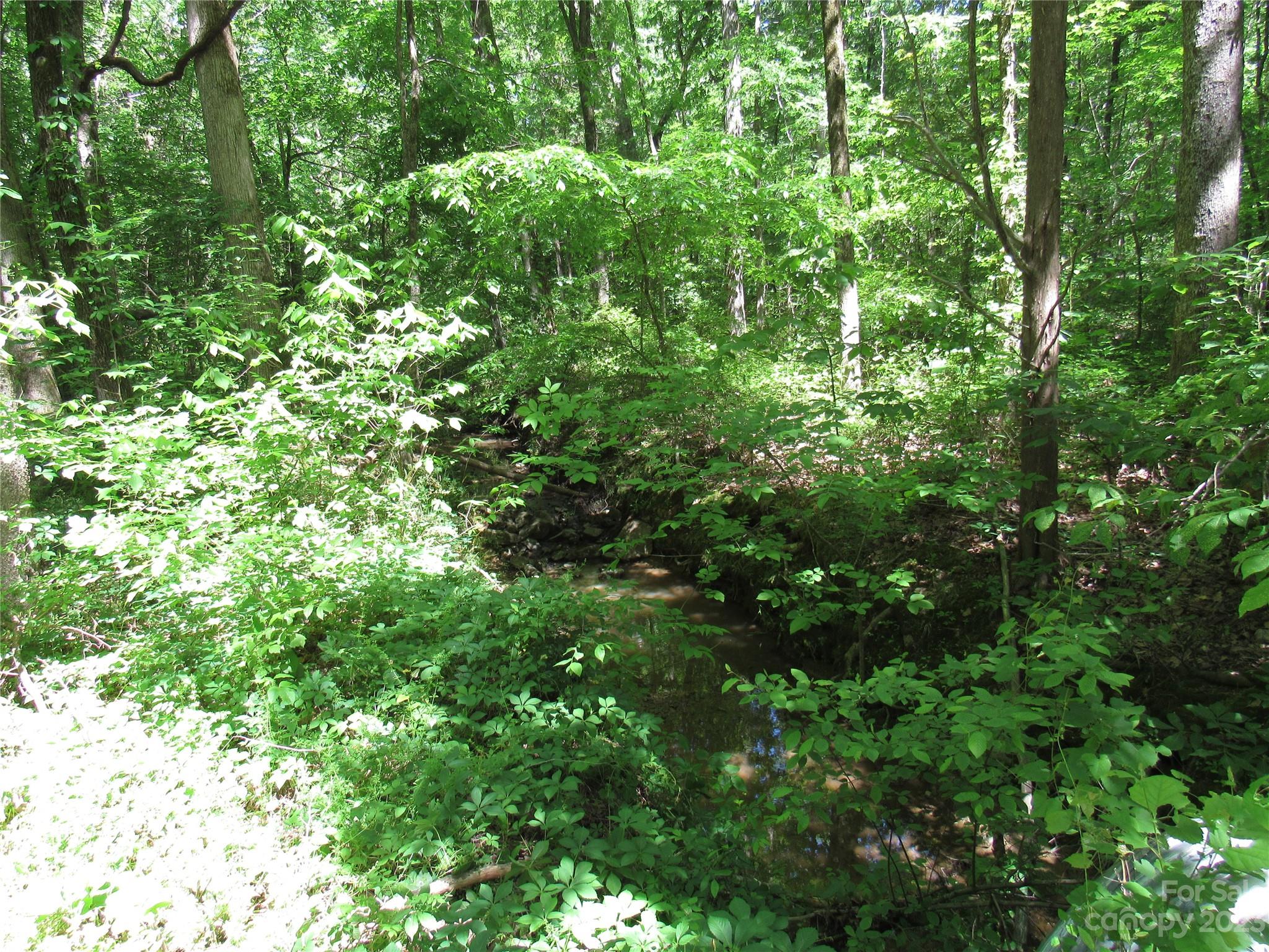 5575 Sapp Road Property Photo 12