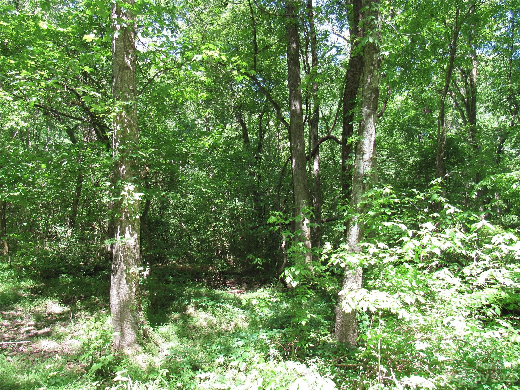 5575 Sapp Road Property Photo 16