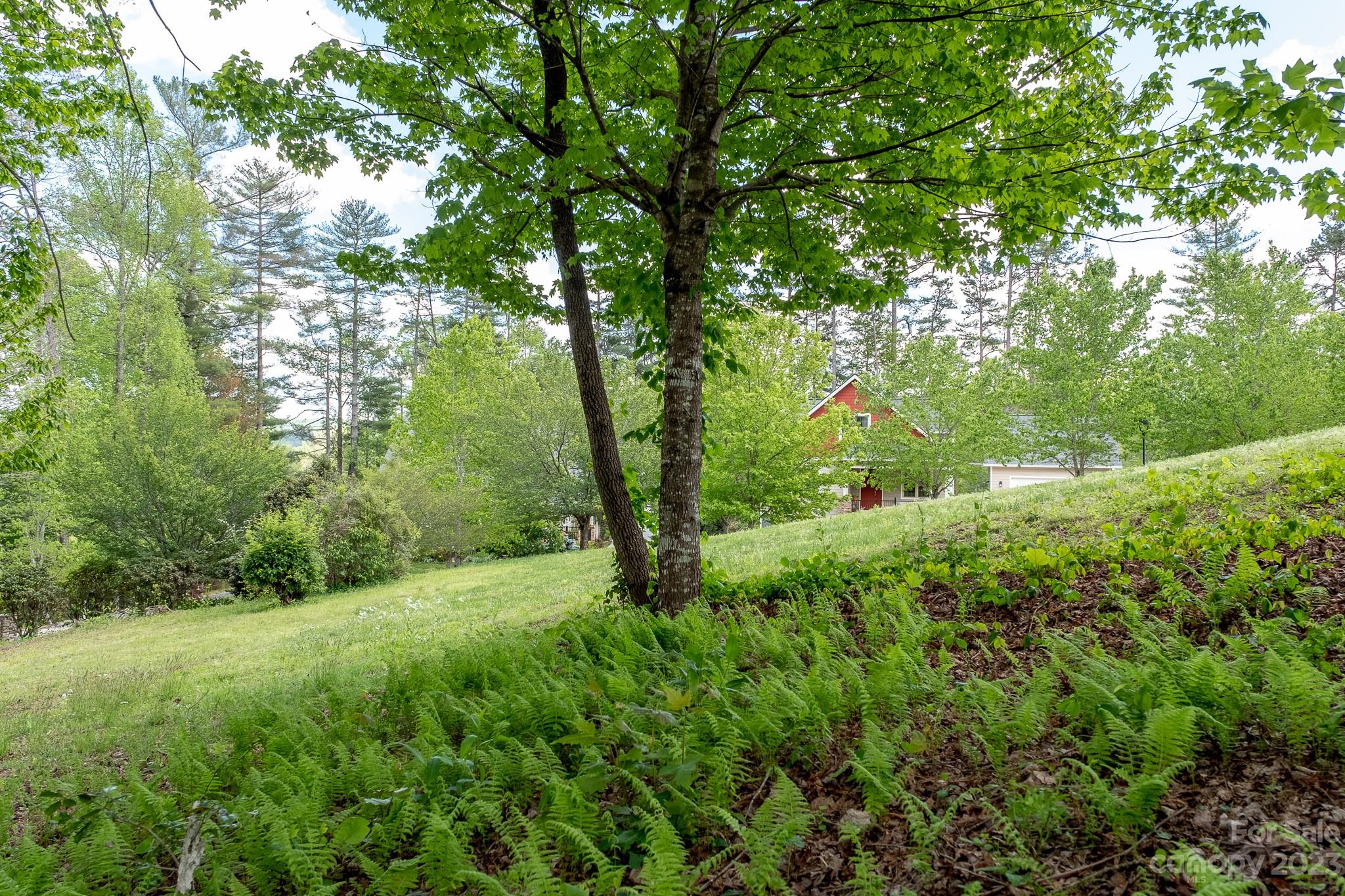 Lots 18 And 19 Cadence Circle Property Photo 10
