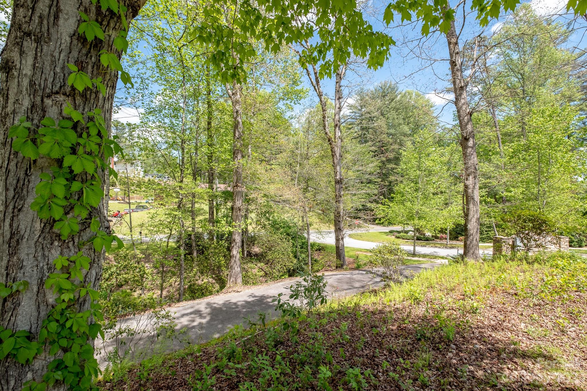 Lots 18 And 19 Cadence Circle Property Photo 11