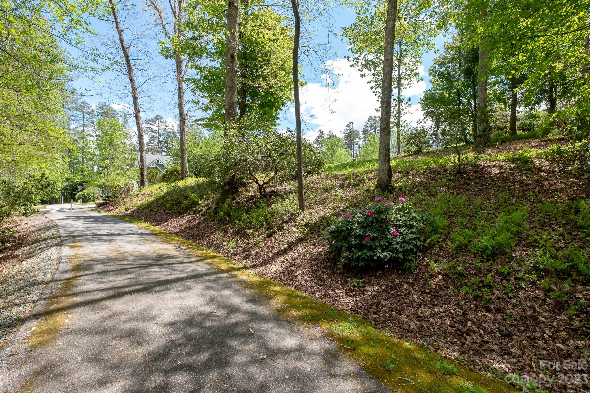 Lots 18 And 19 Cadence Circle Property Photo 14