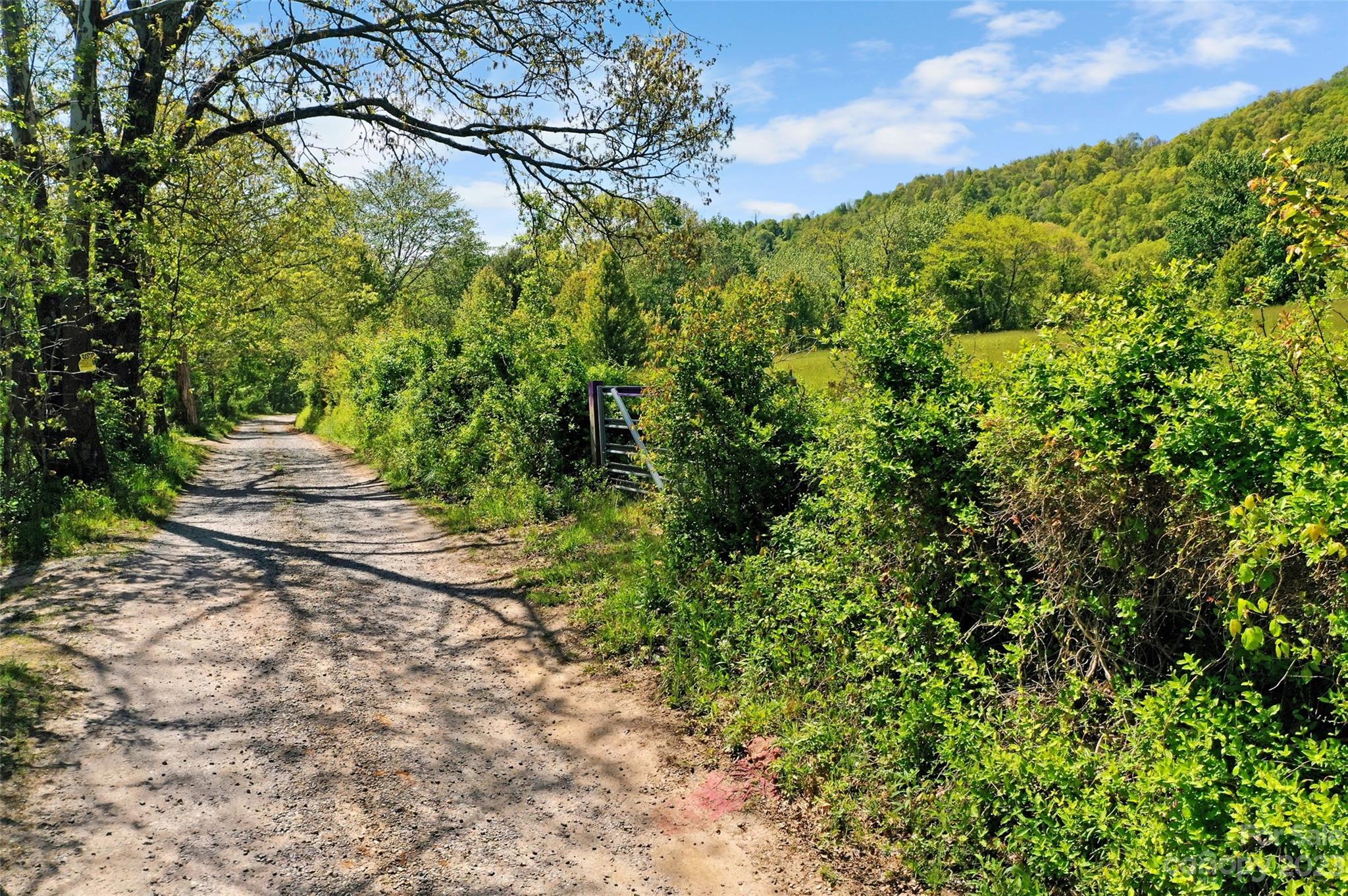 Land Off Ransom Road Property Photo 5