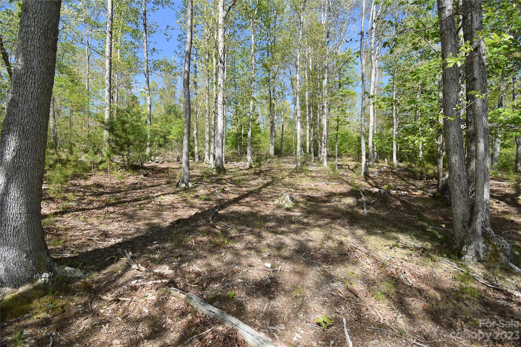 Land Off Ransom Road Property Photo 25