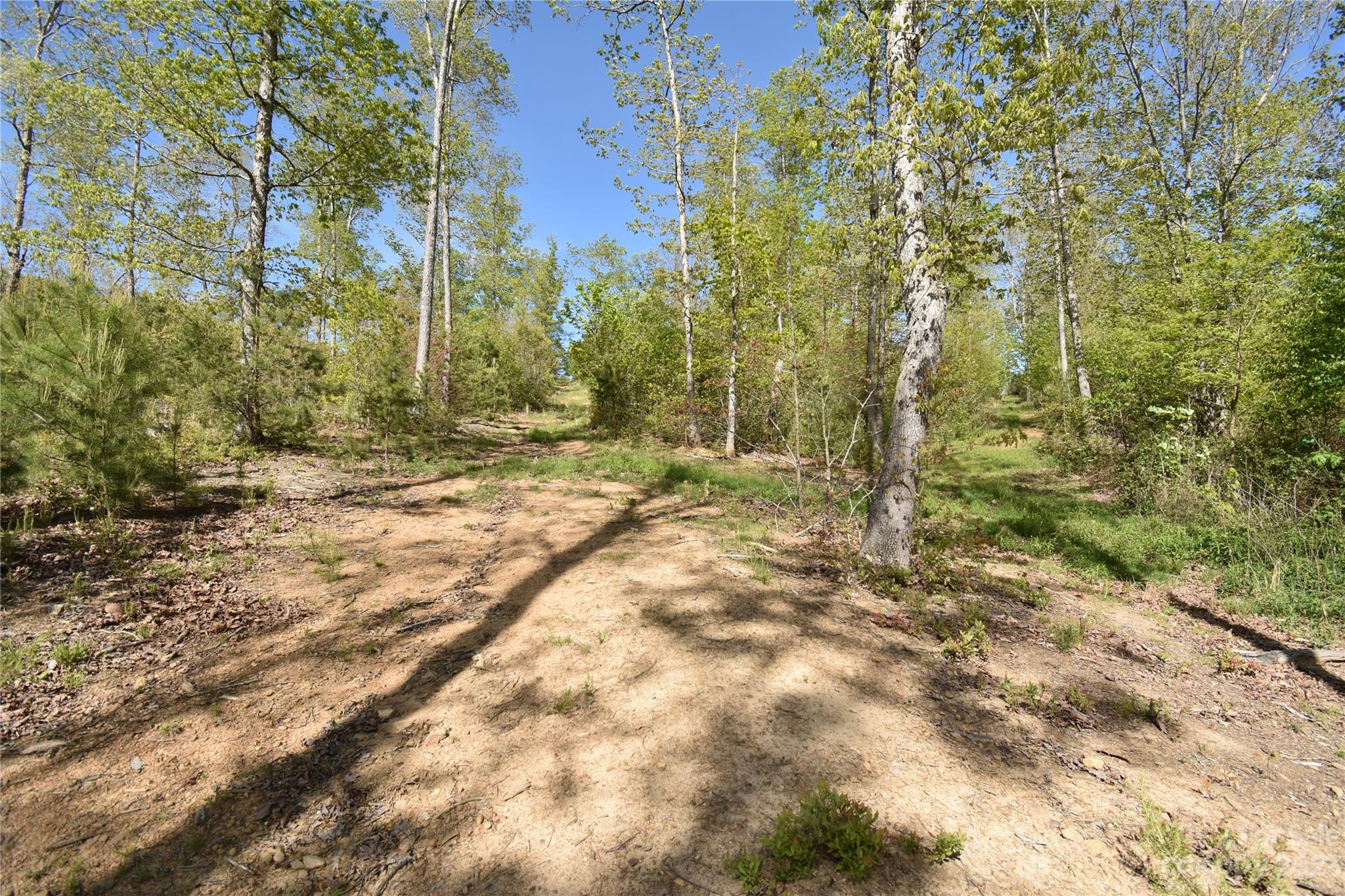 Land Off Ransom Road Property Photo 28