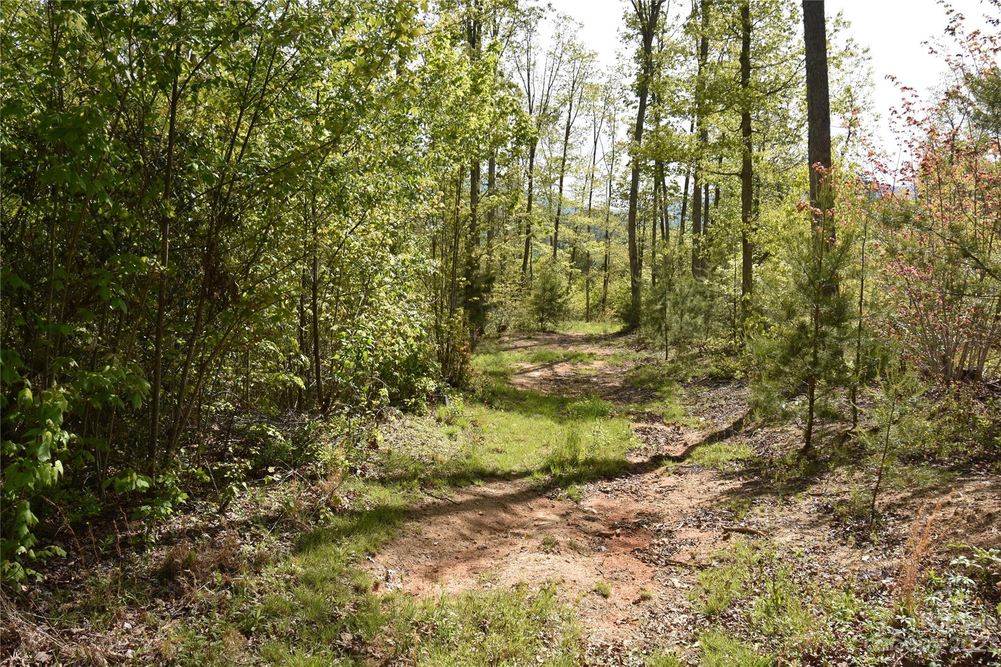 Land Off Ransom Road Property Photo 33