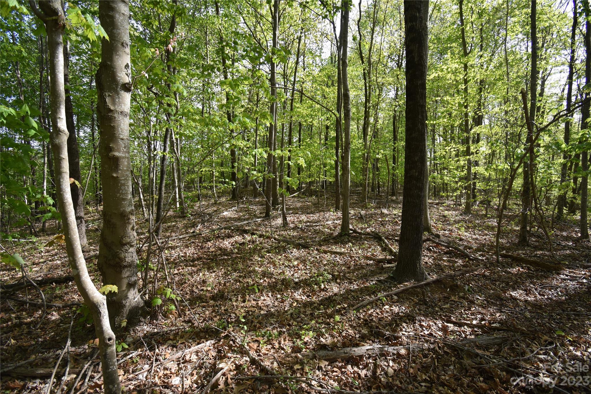 Land Off Ransom Road Property Photo 37