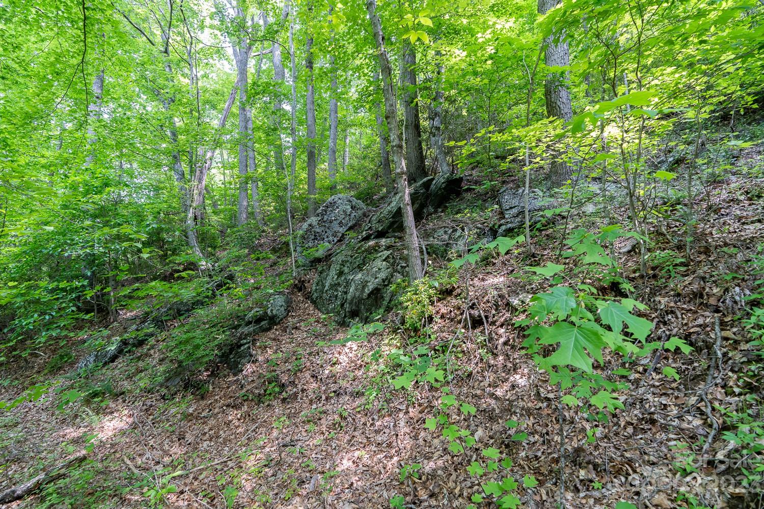 155 Rocky Knob None Property Photo 1